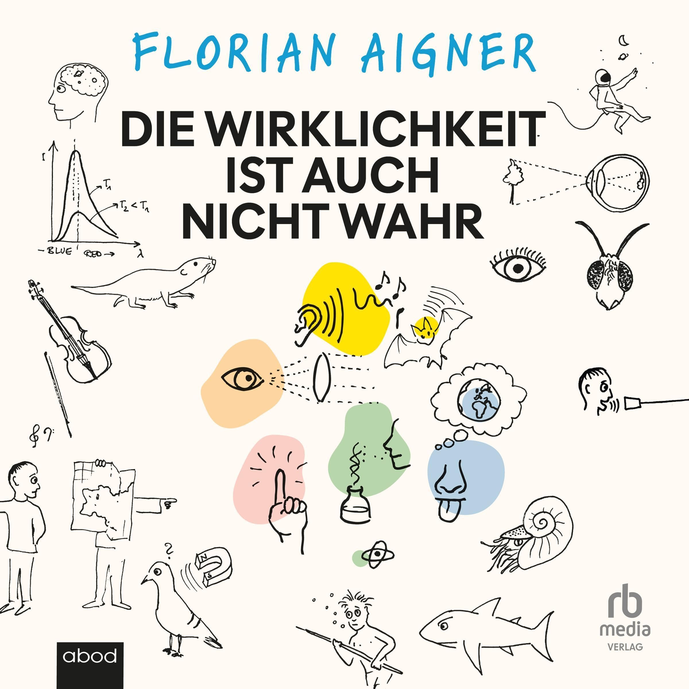 Cover art for Die Wirklichkeit ist auch nicht wahr