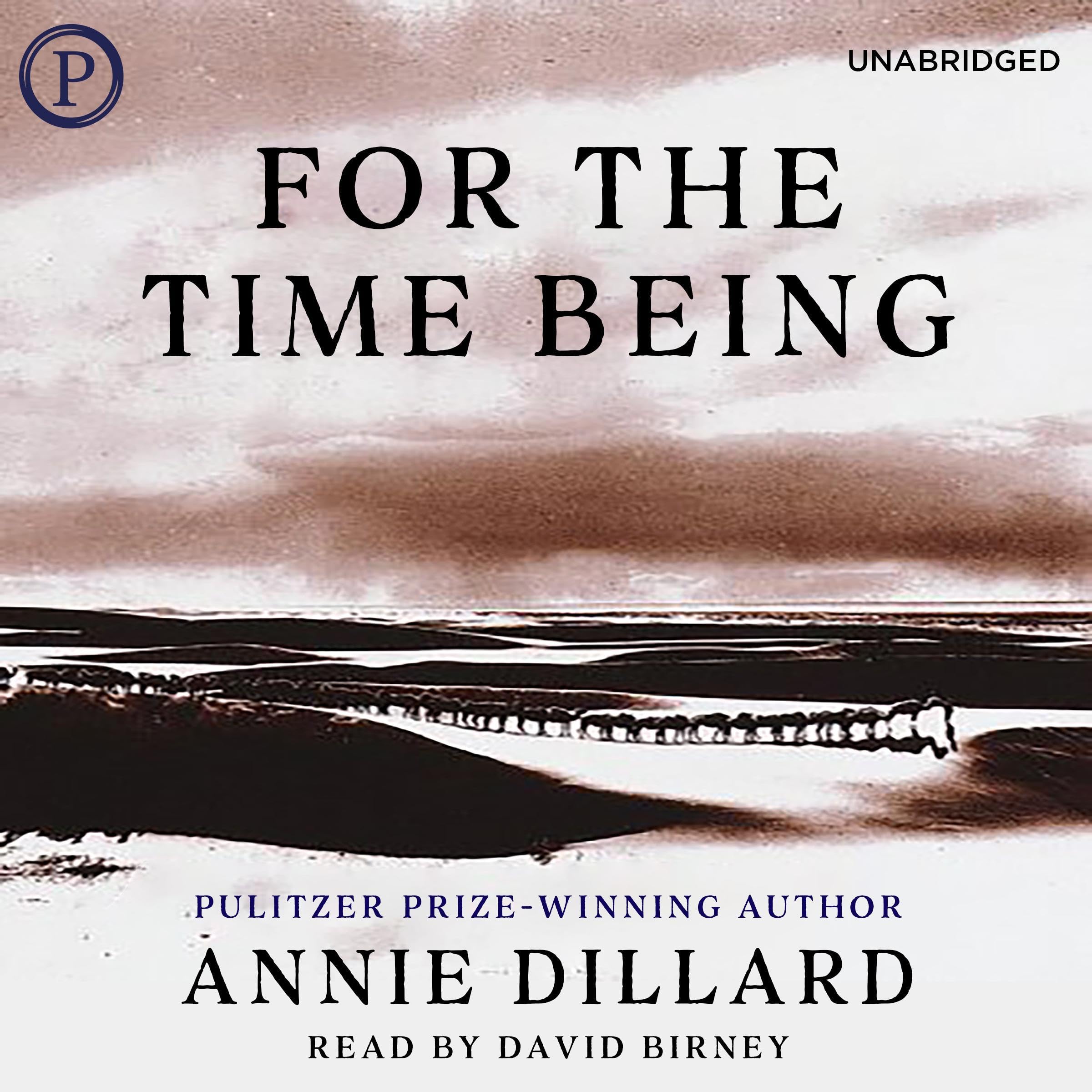 Cover art for For the Time Being