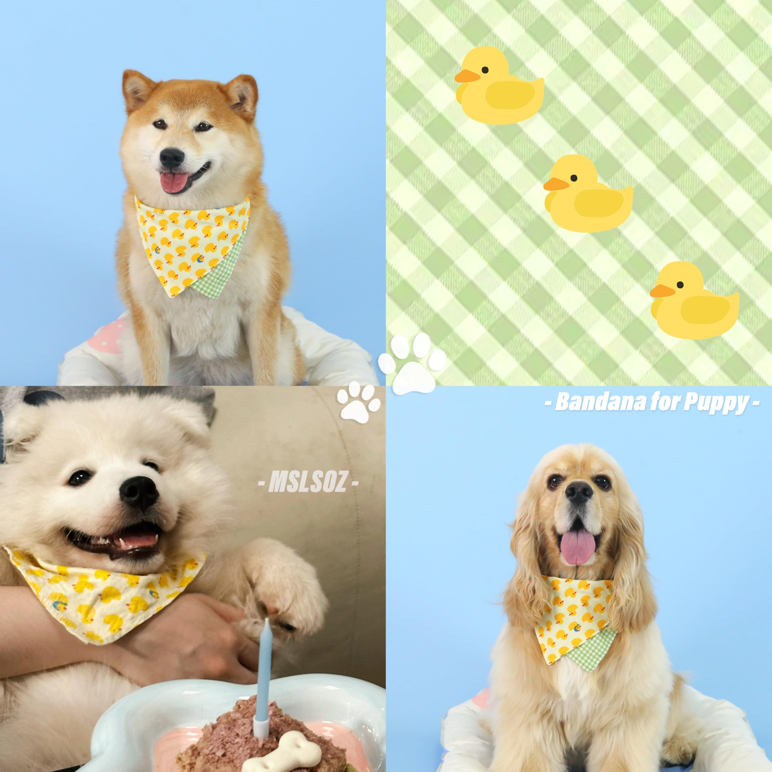 Vestiti Divertenti Per Cani, SilverChry Vestiti Per Cani Halloween, Costumi Halloween Cani, Vestito Cane Piccolo Per Feste Cosplay Per Costumi (M, Cavaliere