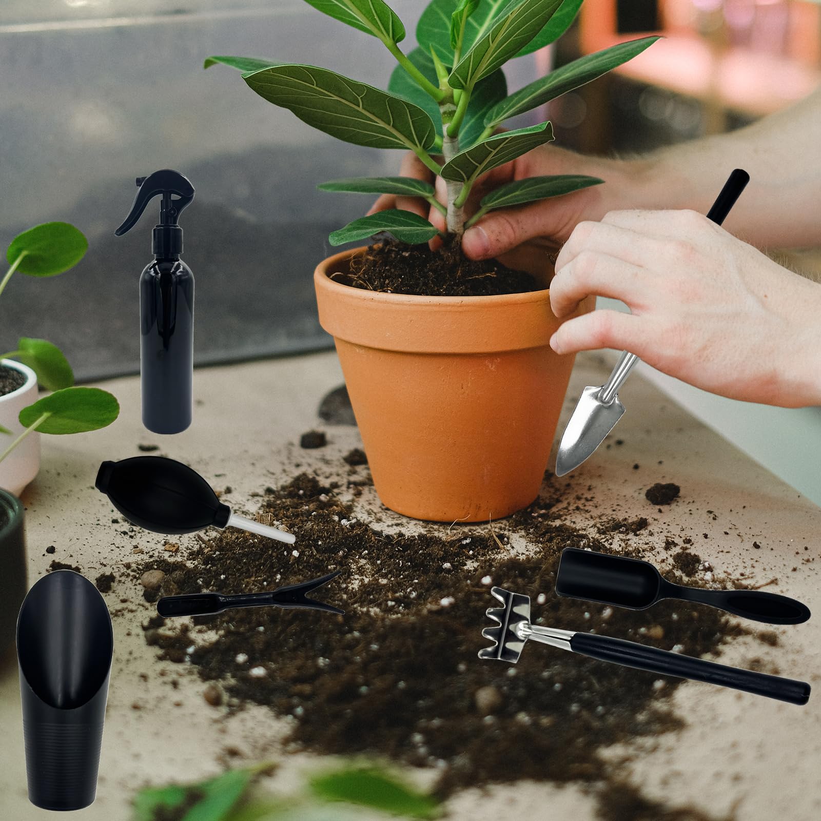Juego de Herramientas para Bonsái,Herramientas para Plantas Suculentas Set,Mini Herramientas de Jardín para Trasplante,el Cuidado de Plantas en Miniatura