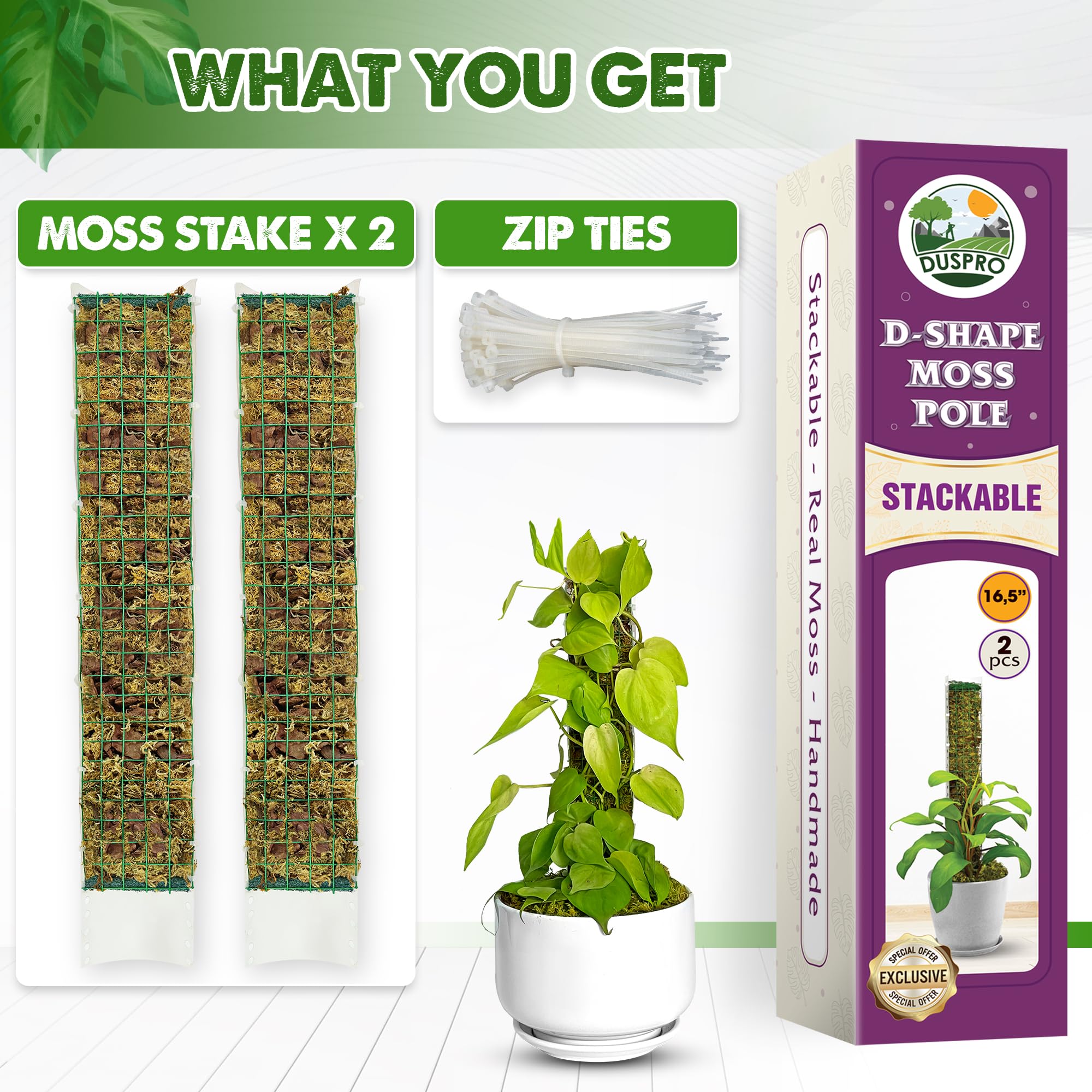 pi様 MOSS STICK Amazon.com : DUSPRO D-Shaped Plastic Moss Poles for Climbing