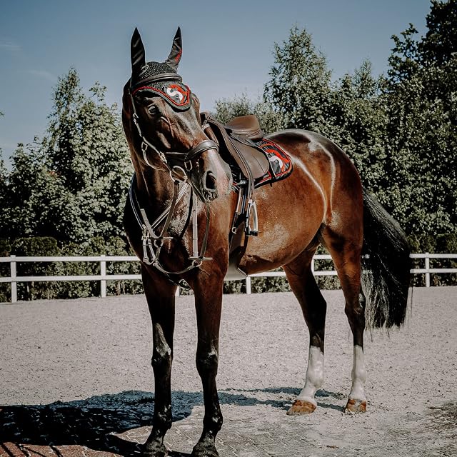 Foto 6 de 6 de SUNRIDE Pettorale Cavallo in Pelle con martingala (Windsor) - attacco a 3-punti
