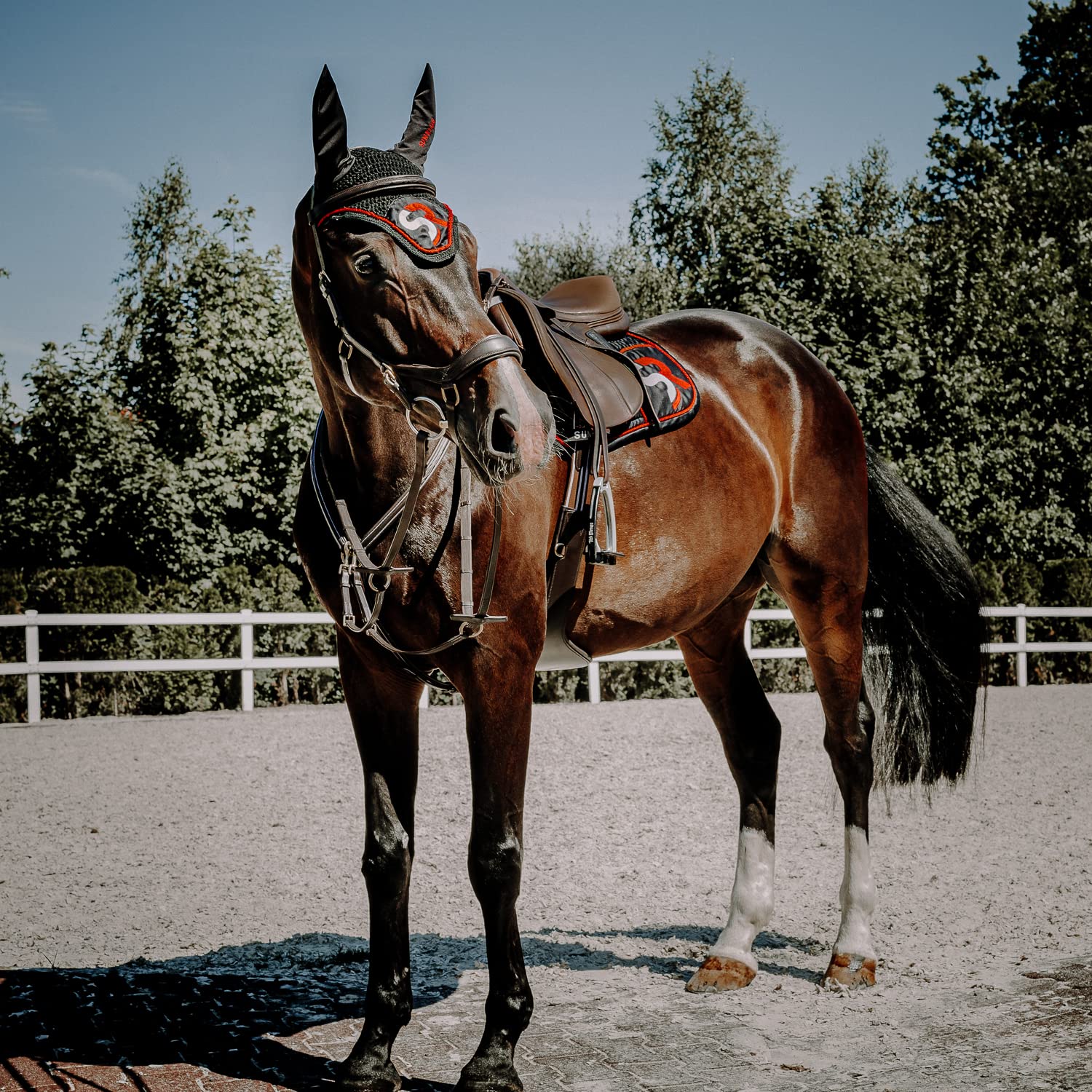 SUNRIDE Collier de Chasse Cuir avec Martingale Cheval (Windsor) – Fixation 3-Points – Fourche Martingale Amovible – Inserts élastiques – réglable (Full, Marron)