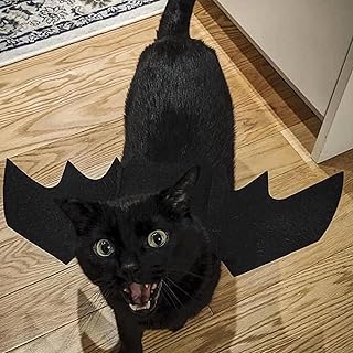 P.I.N.K.E.N.V.Y [Explicit]