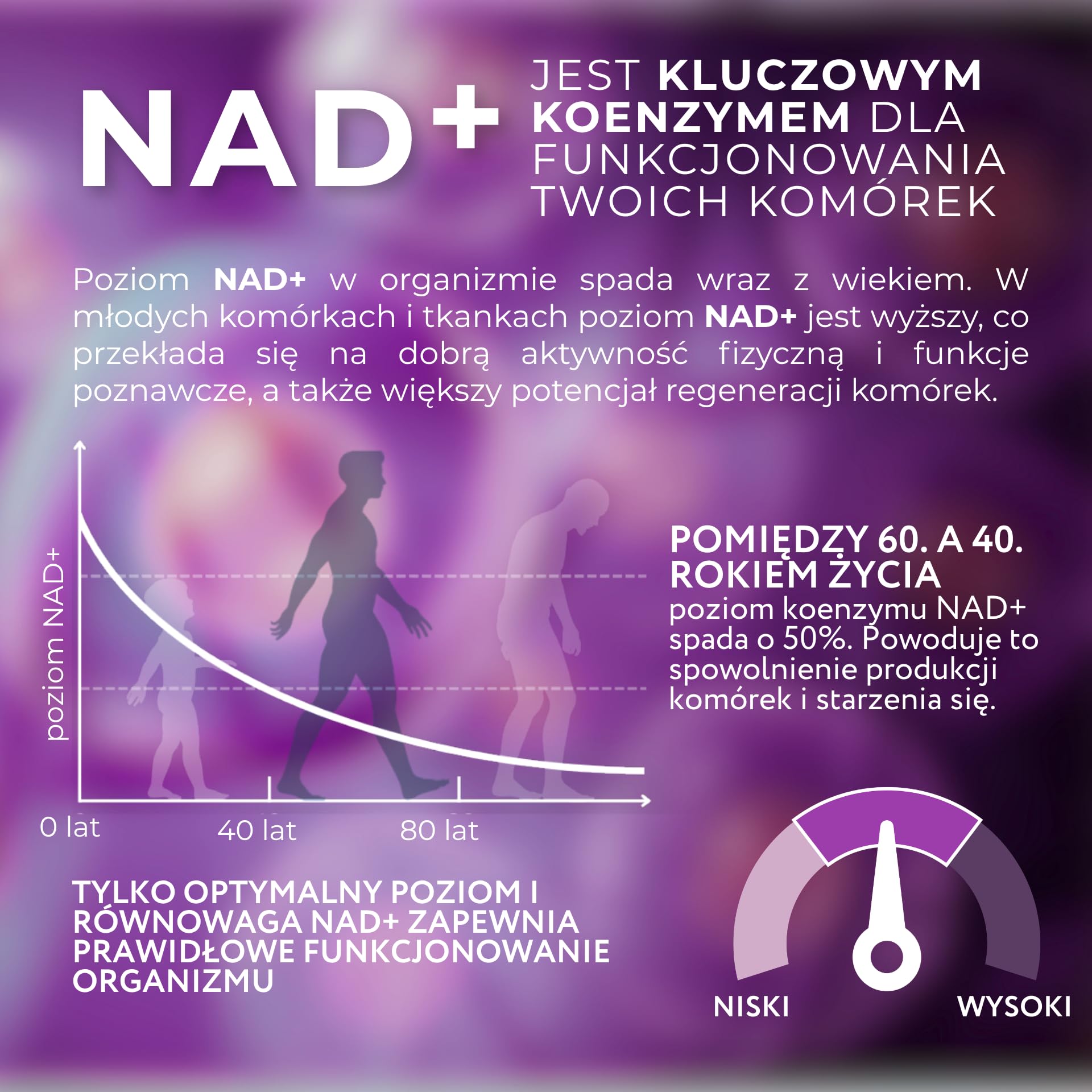 1-MNA Endurance, Optymalizujący NAD+, Suplement dla Sportowców Profesjonalnych i Amatorskich, na Siłownię, dla Biegaczy, z Kreatyną i Różeńcem Górskim, 30 Saszetek