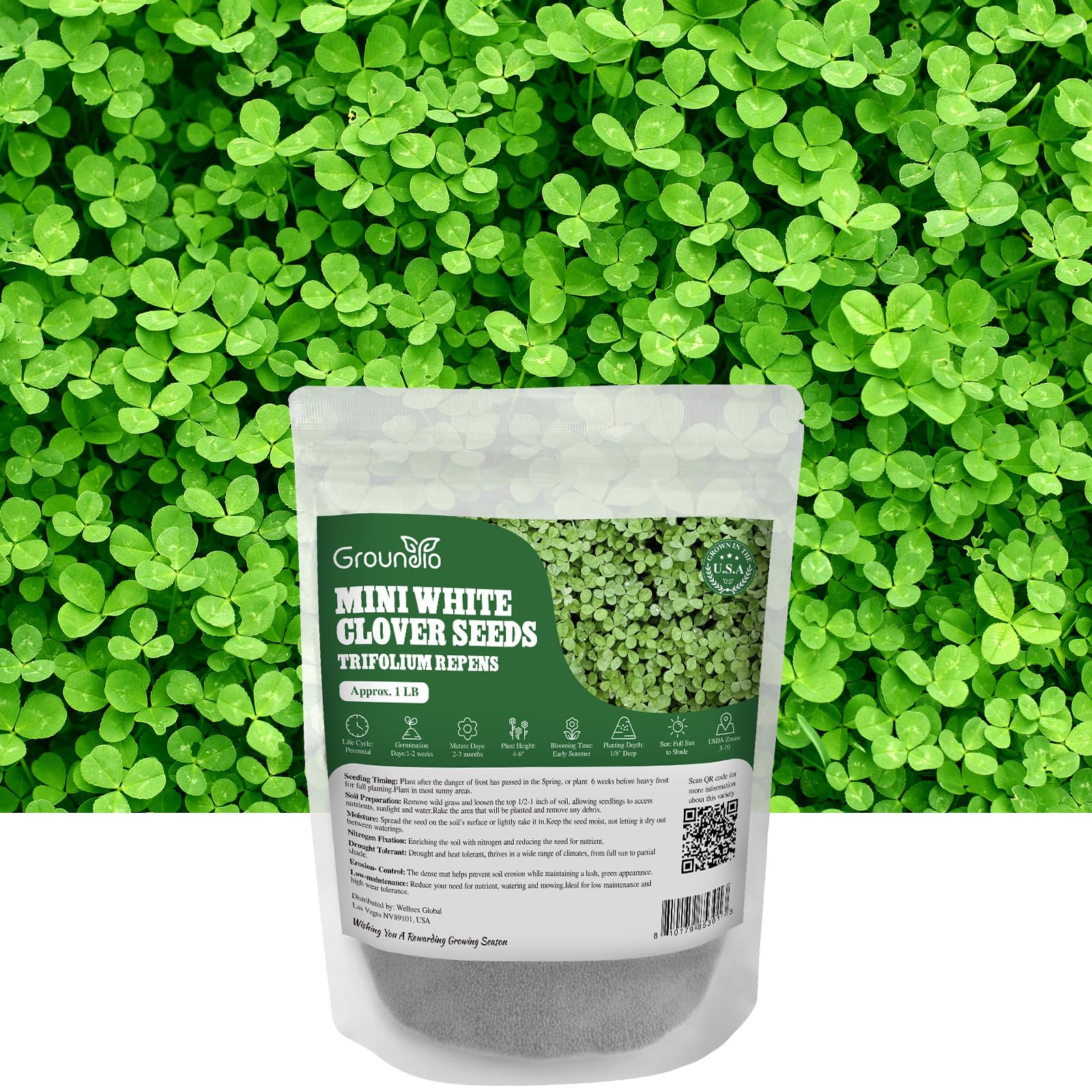 Groundio Mini White Clover Seeds