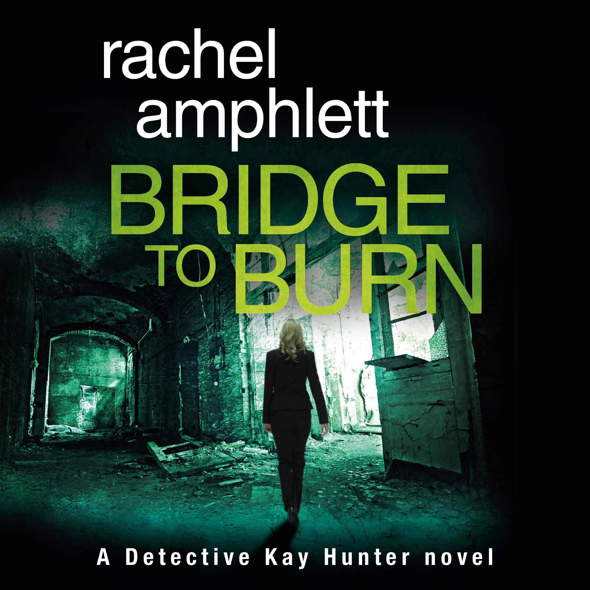 Cover art for Bridge to Burn