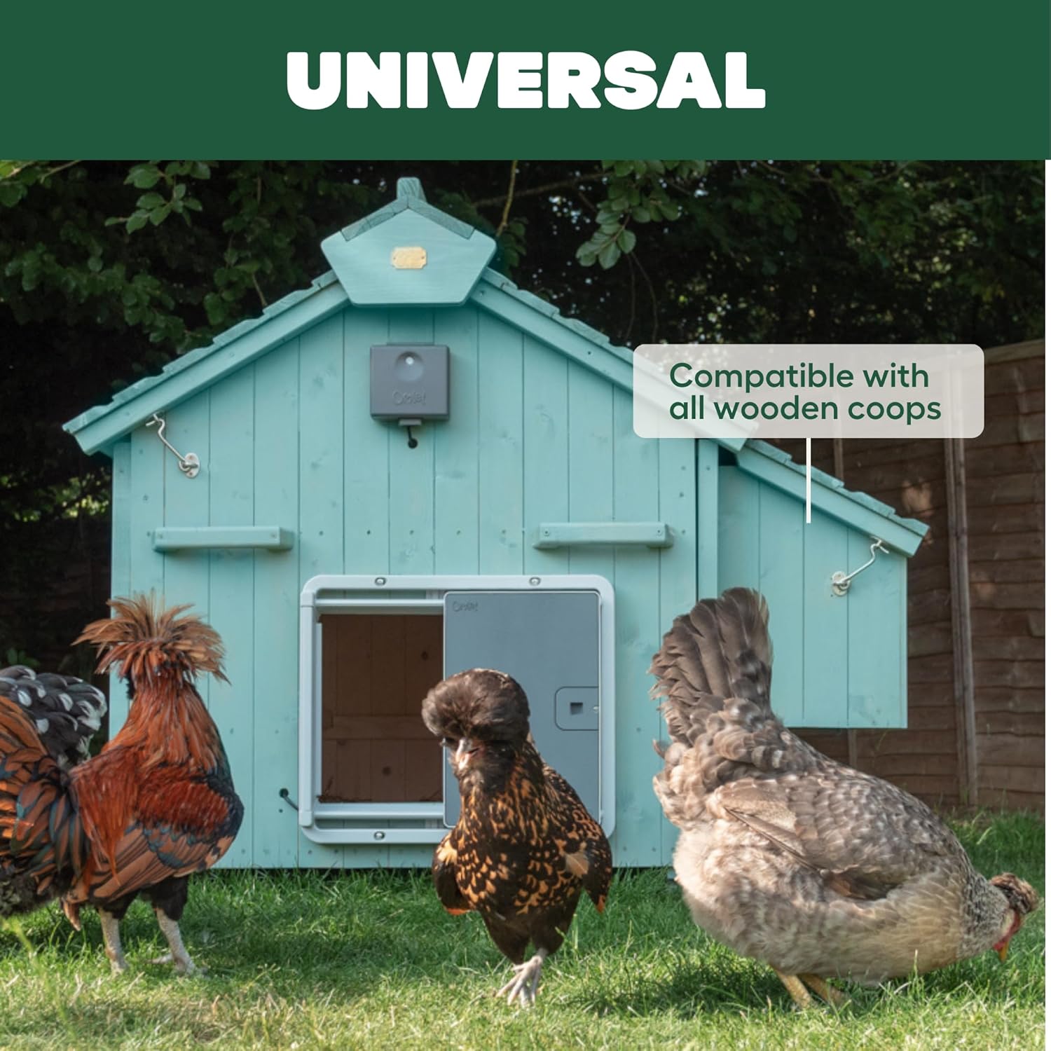 Omlet Automatic Chicken Coop Door Opener | Operated by Light Sensor or Timer | Easy to Install, No Maintenance Required | Improves Coop Security and Insulation | Built-in Safety Sensors | Grey