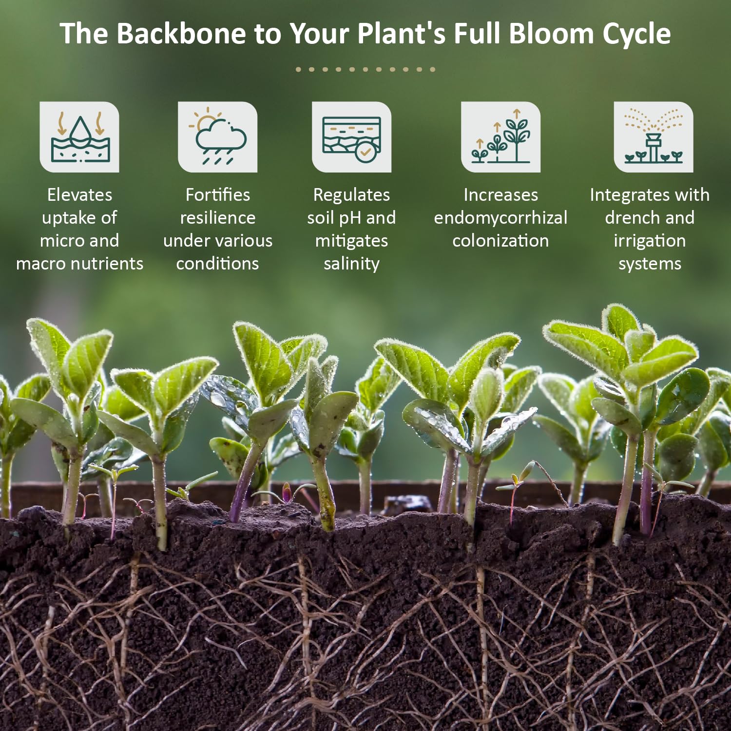 DYNOMYCO Mycorrhizal Fungi Bundle for up to 40 Plants, Improve Soil Health, Enhance Plant Growth, Indoor & Outdoor use