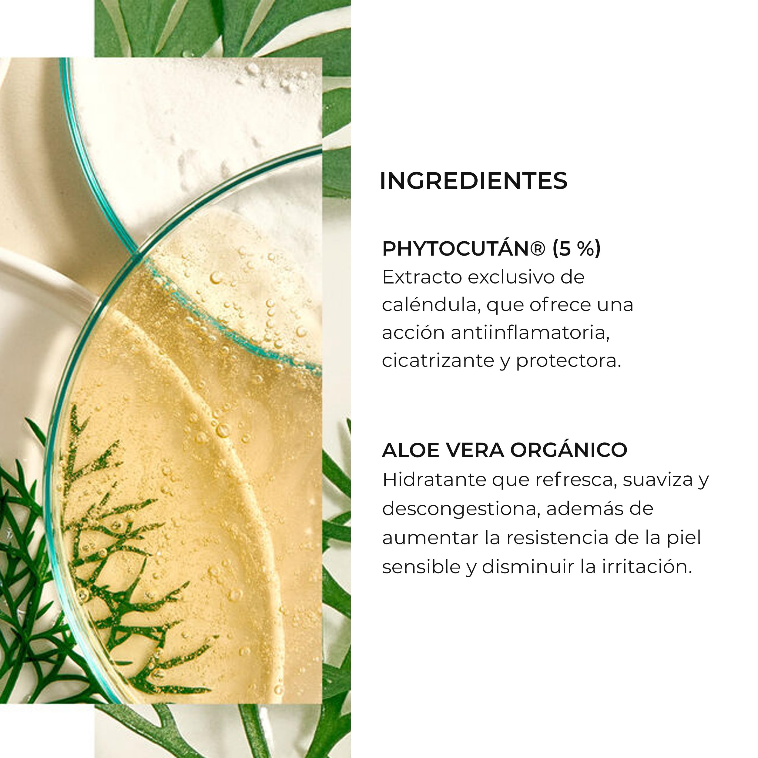 Natura Bissé S.O.S. Instant Rescue | Sérum Facial Recuperador de Efecto Inmediato para Pieles Sensibles y Sensibilizadas con Phytocután, Árnica Montana y Aloe Vera | 30 ml