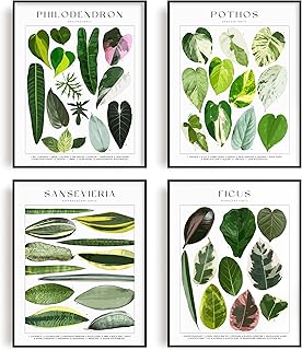 Plant Poster Set of 4 UNFRAMED - Botanical Wall Art - Plant Stuff - Green Wall Art - Plant Wall Art - Plant Art Wall Prints - Plant Prints - Plant Pictures Wall Art 11x14" (FOLIA)