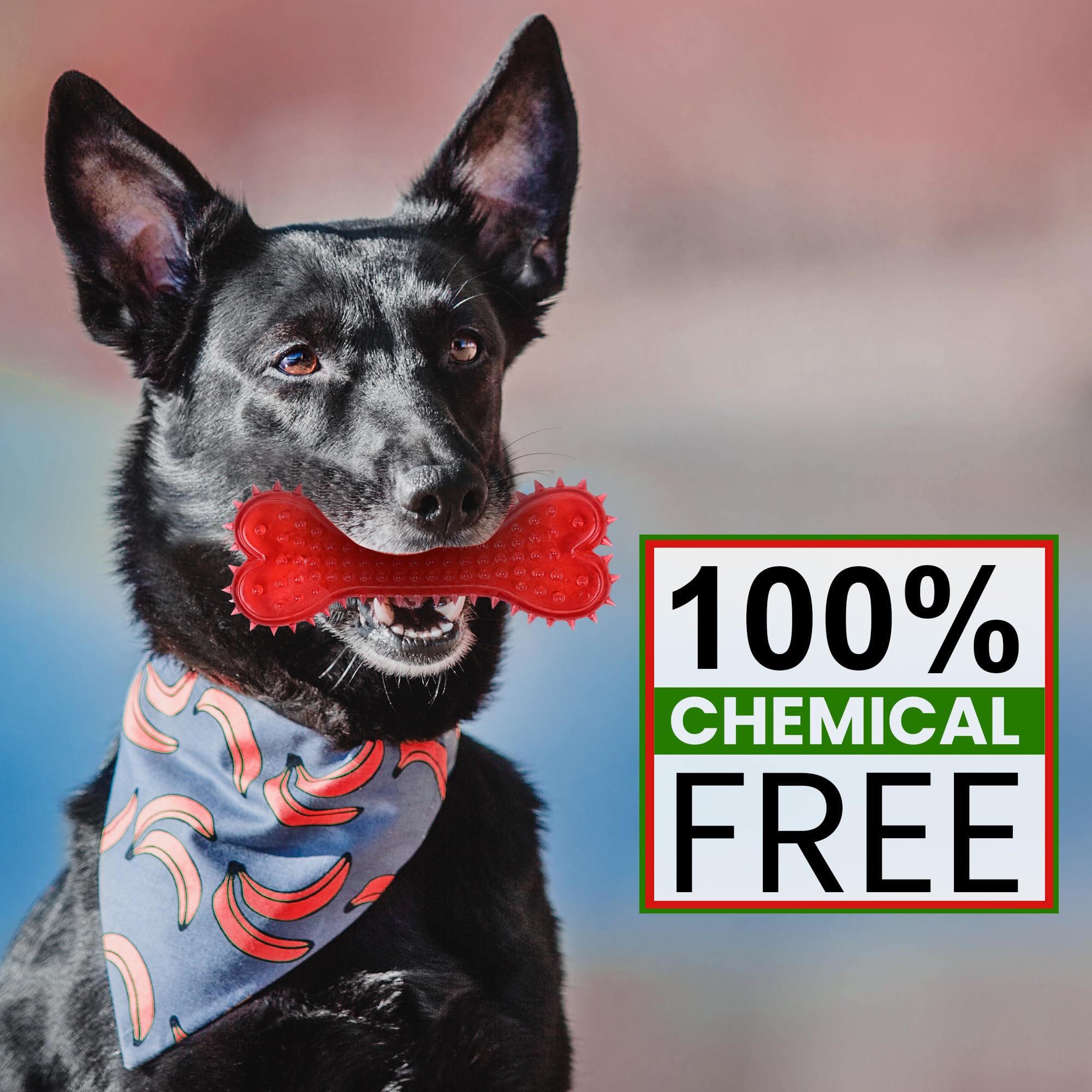 POLKA 100% Natural Rubber Spike Dog Bone Toy | Non-Toxic and Safe Playing Teething Chew Toys for Dogs | Ideal Dog Toys for Puppies & Large Pet Breeds (Color May Vary) (B0CLY29397) Amazon Price History, Amazon Price Tracker