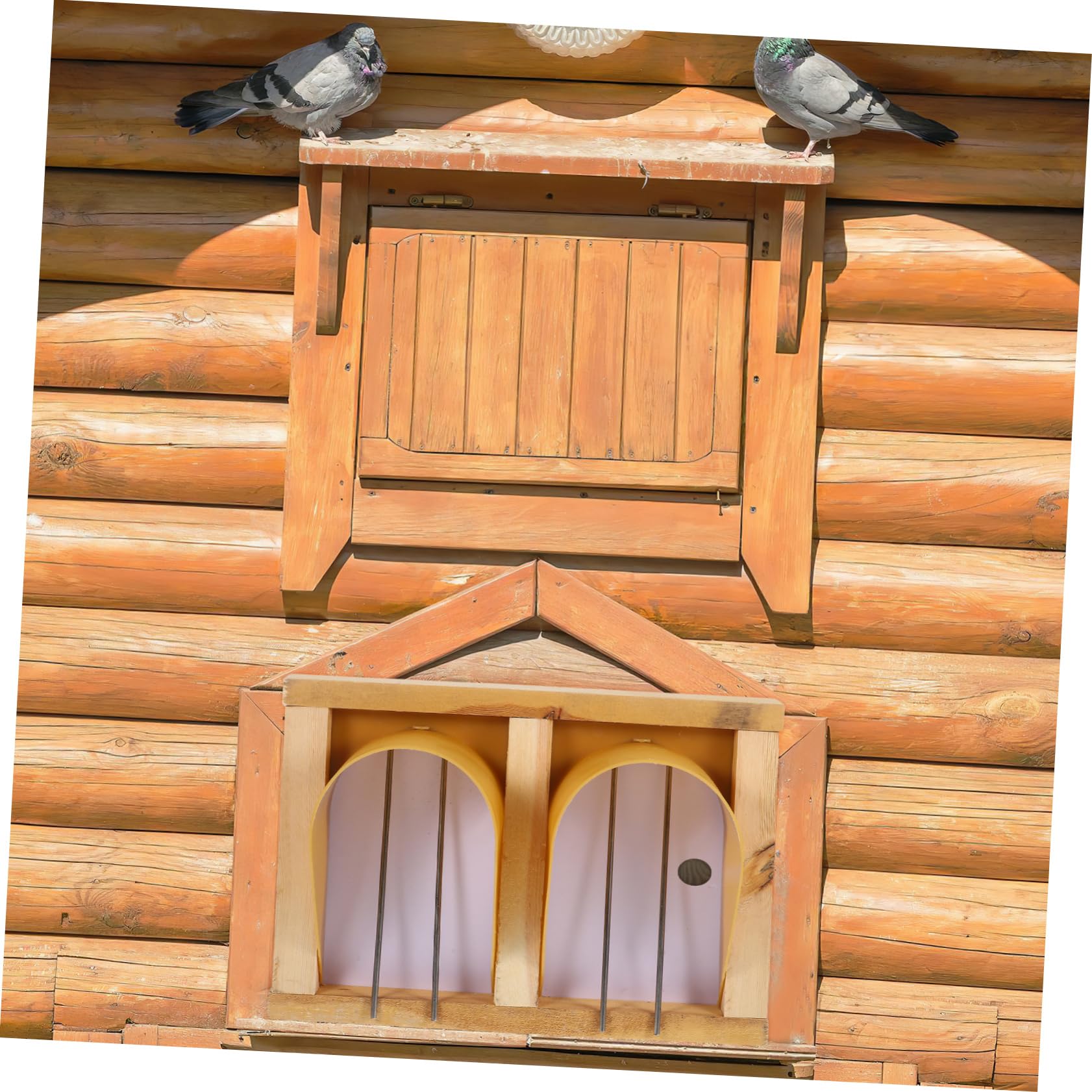 YARNOW Porte De Nichoir pour Pigeons Voyageurs - Entrée Large Accessoire pour Oiseaux De Compagnie Design Européen