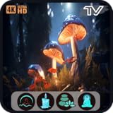 森の睡眠音：4K マジカルマッシュルームとフルート