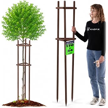 KADAX Tree Support 170 cm Made of Robust Wood Tree Stake for Secure Fixation of Young Trees and Shrubs Three-Legged Plant Support Made of Beech Wood for Garden