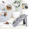Product Photo 7