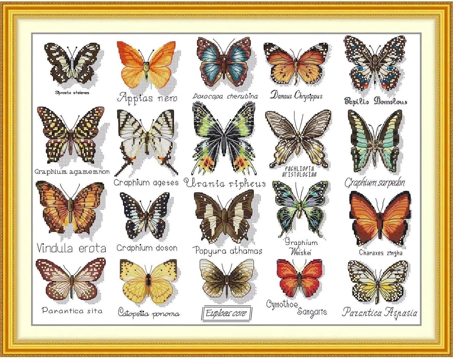 ITSTITCH Stamped Cross Stitch Kits- Full Set of Embroidery for Beginners or Adults,14 CT 2 Strands DIY Dragonflies Patterns Counted Arts Craft 22×17.3 inch