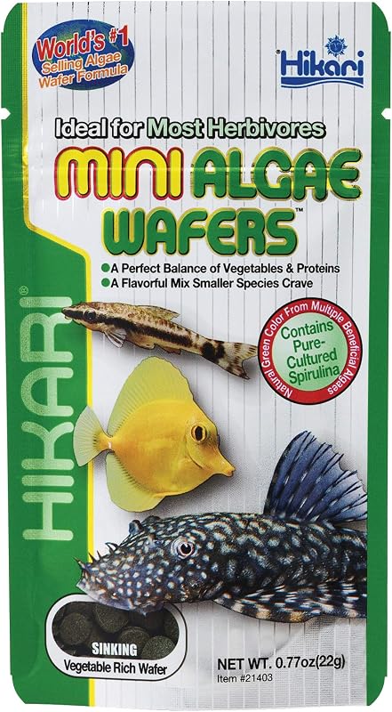 Hikari Mini Algae Wafers para Peixes de Fundo, 22 g