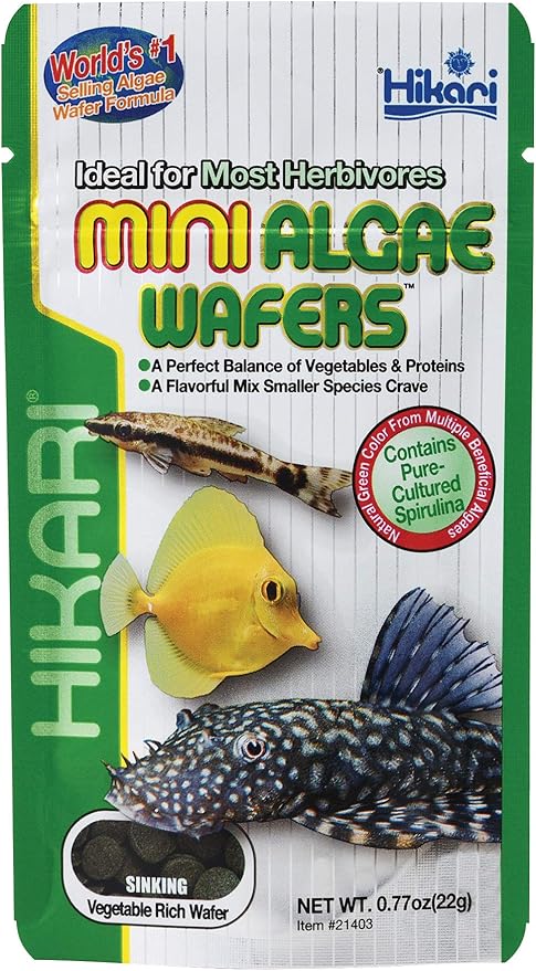 tropical algae wafers