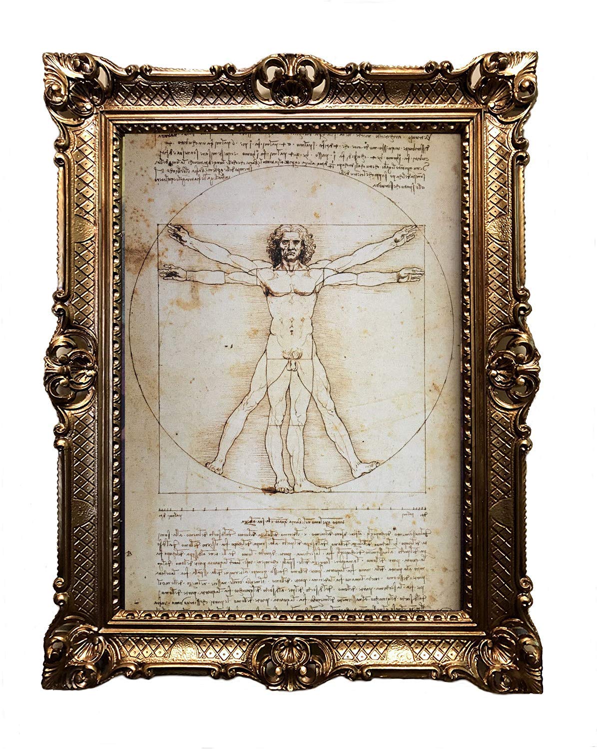 Lnxp Vitruvian Man Vitruvianischer Mensch Bild mit Barock Rahmen Wandbild von Leonardo da Vinci 70x90cm Kunstdrucke Gemälde Retro Repro Antik für Home Büro Praxis Café 58B