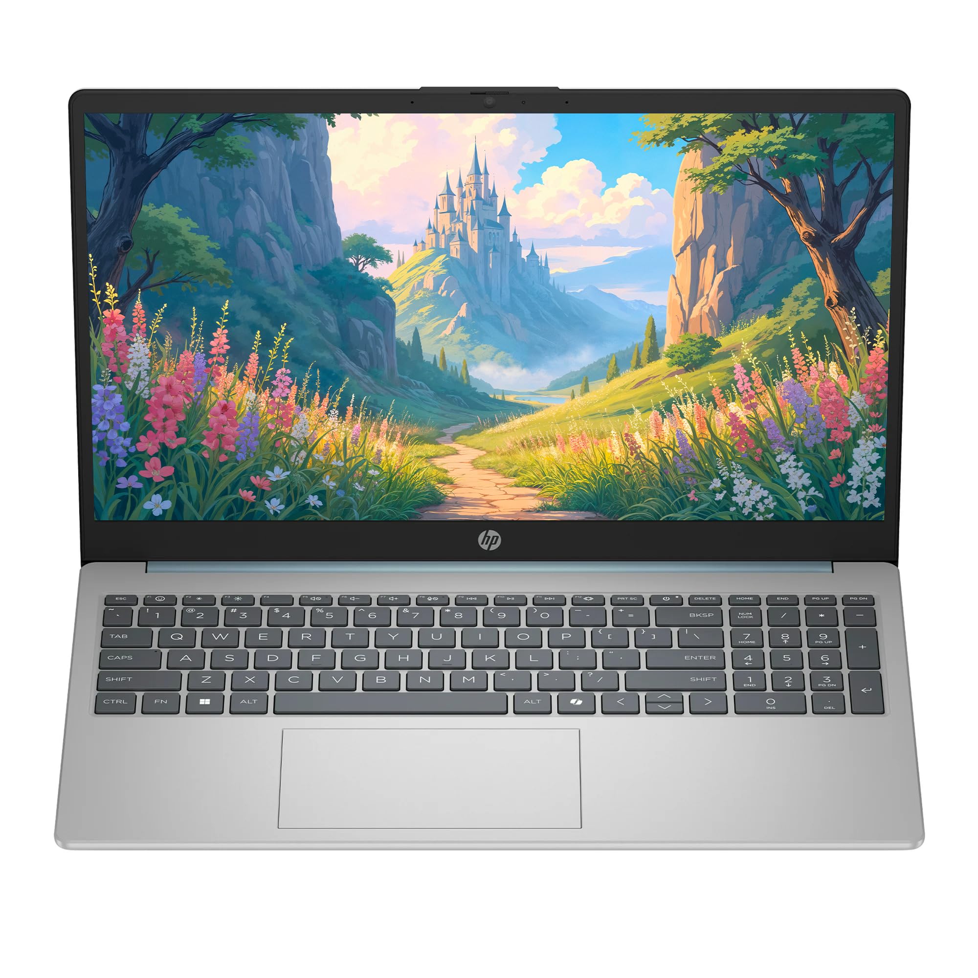 Amazon.com: HP 15.6