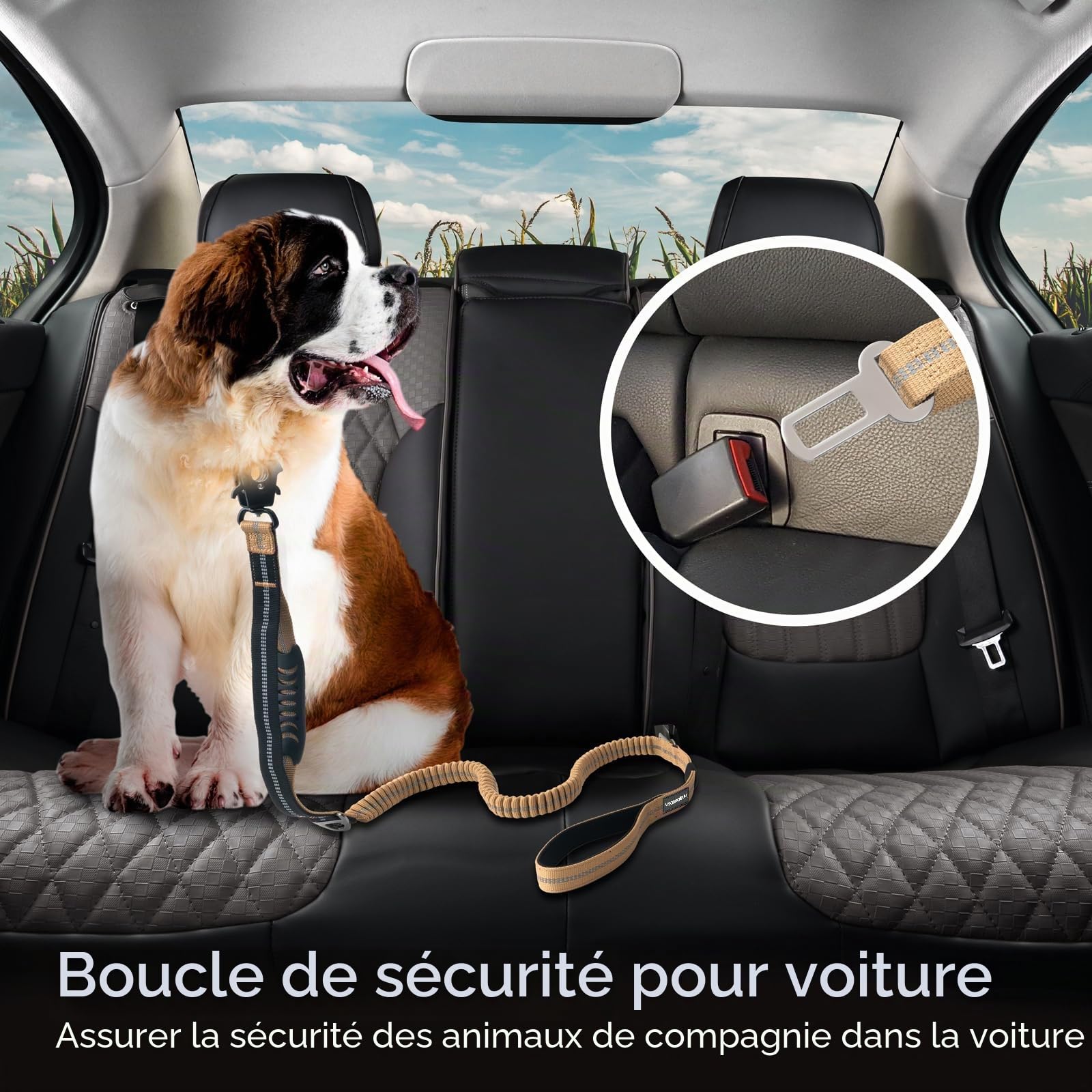 Laisse Tactique Robuste pour Chien avec Mousqueton à dégagement Rapide et Fils hautement réfléchissants, 1,2 à 1,8 m pour Chiens de Taille Moyenne et Grande(Marron et Noir)