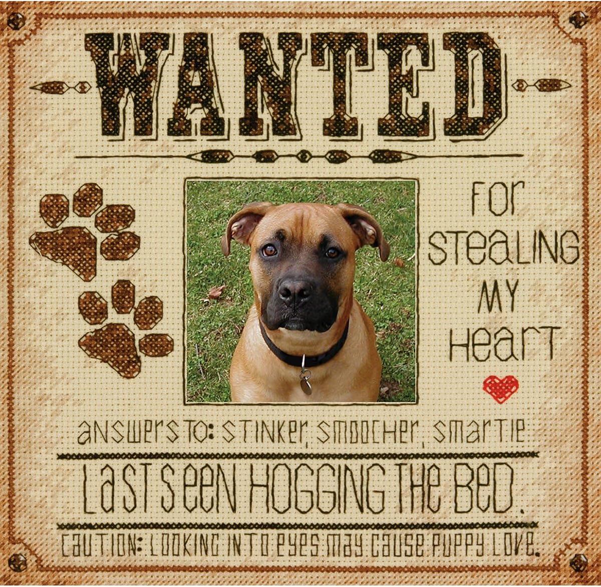 Dimensions Crafts 70-35316 Dog Wanted Counted Cross Stitch Kit
