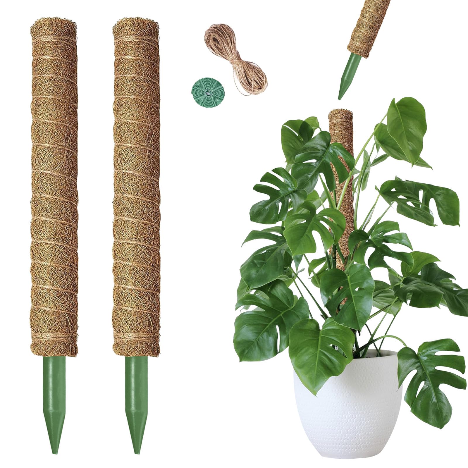 Moss Pole, 2 Pack 21 Inch Monstera Plant Support for Climbing Plants, 36 Inch Tall Stackable Plant Stakes for Indoor Plants Coco Coir Moss Pole Sticks