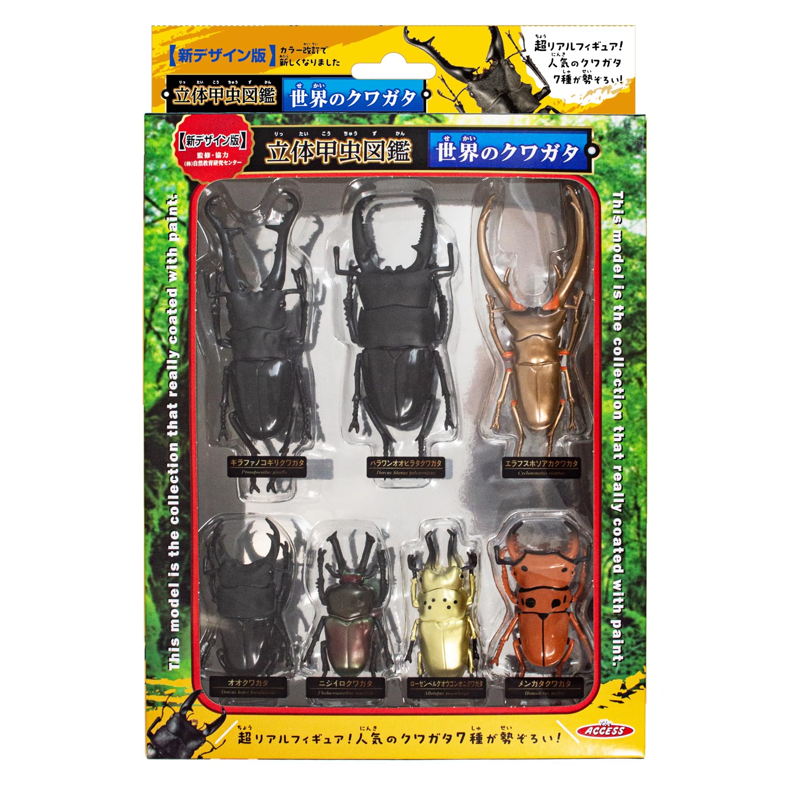 虫の王様 専用出品 Amazon.co.jp: 【074-200704-02】フェモラリスツヤクワガタ