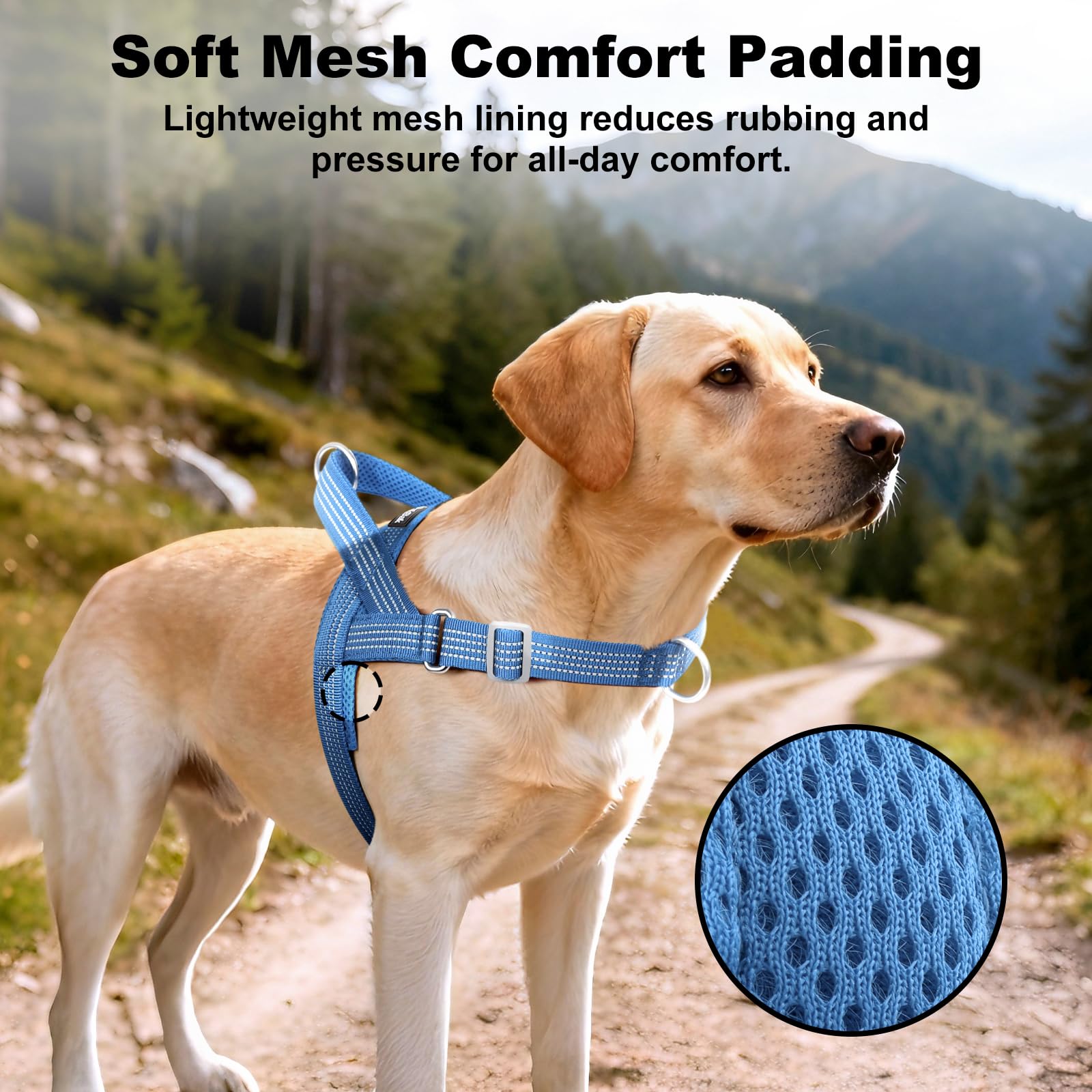 No Pull Dog Harness with Handle, Adjustable Soft Mesh Padded Reflective Walking Harness with Front Clip for Small Medium Large Dogs – Quick Fit No Escape for Training and Hiking (Blue, XL) - image 4