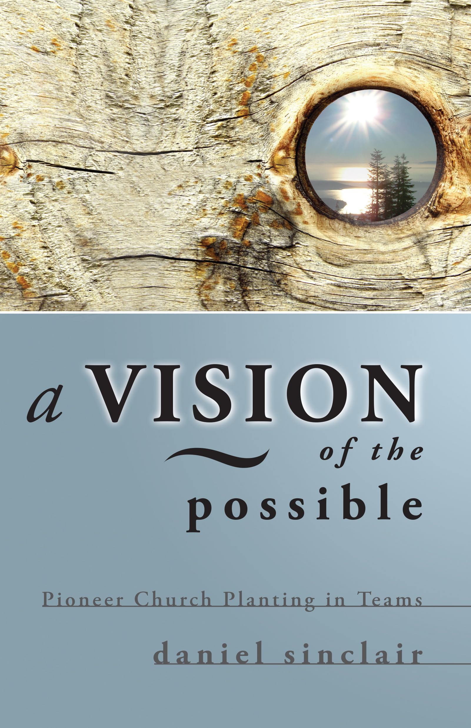 Buy A Vision of the Possible: Pioneer Church Planting in Teams — BookShops.in