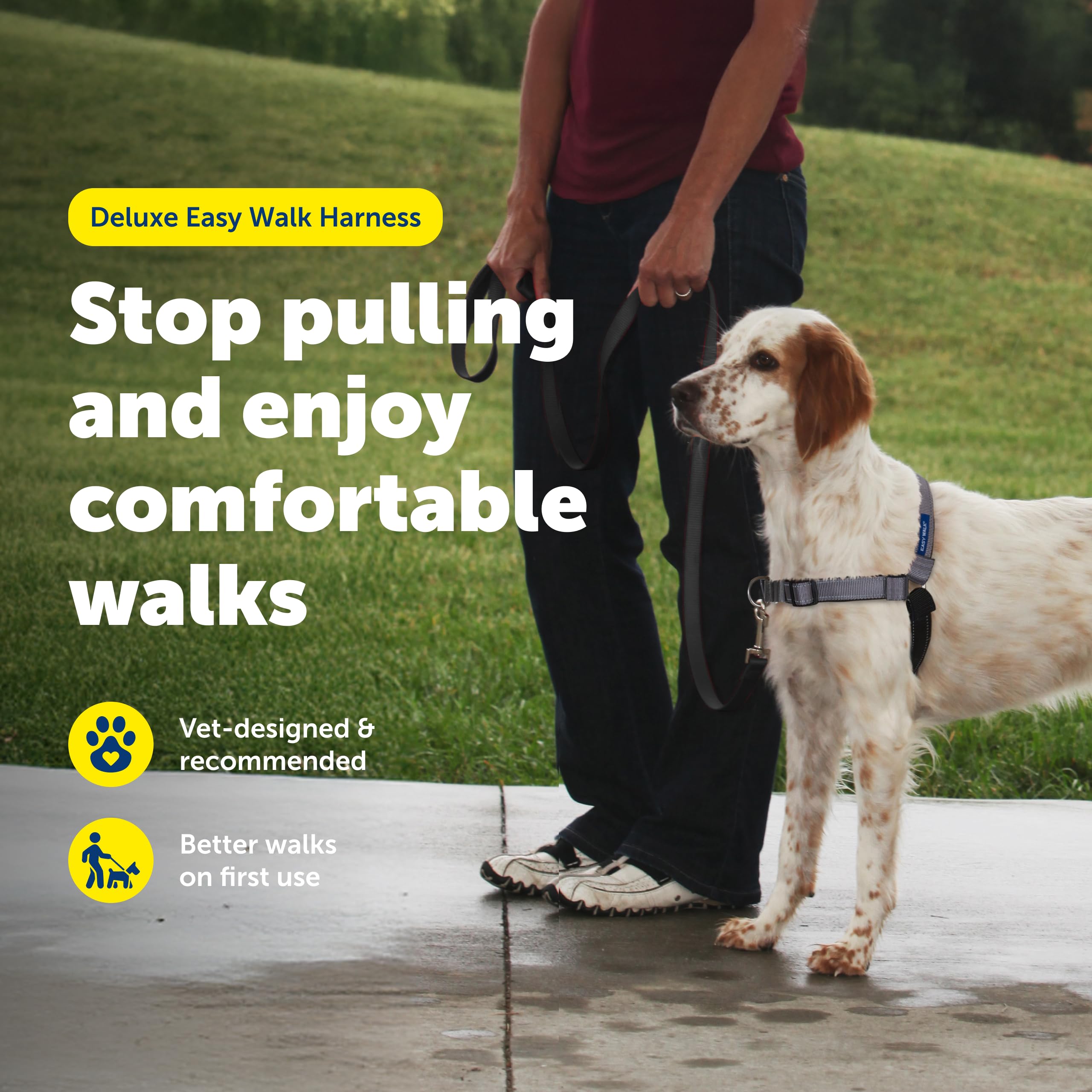 PetSafe Easy Walk Deluxe Harnais Anti-Traction pour Chien Taille M Acier