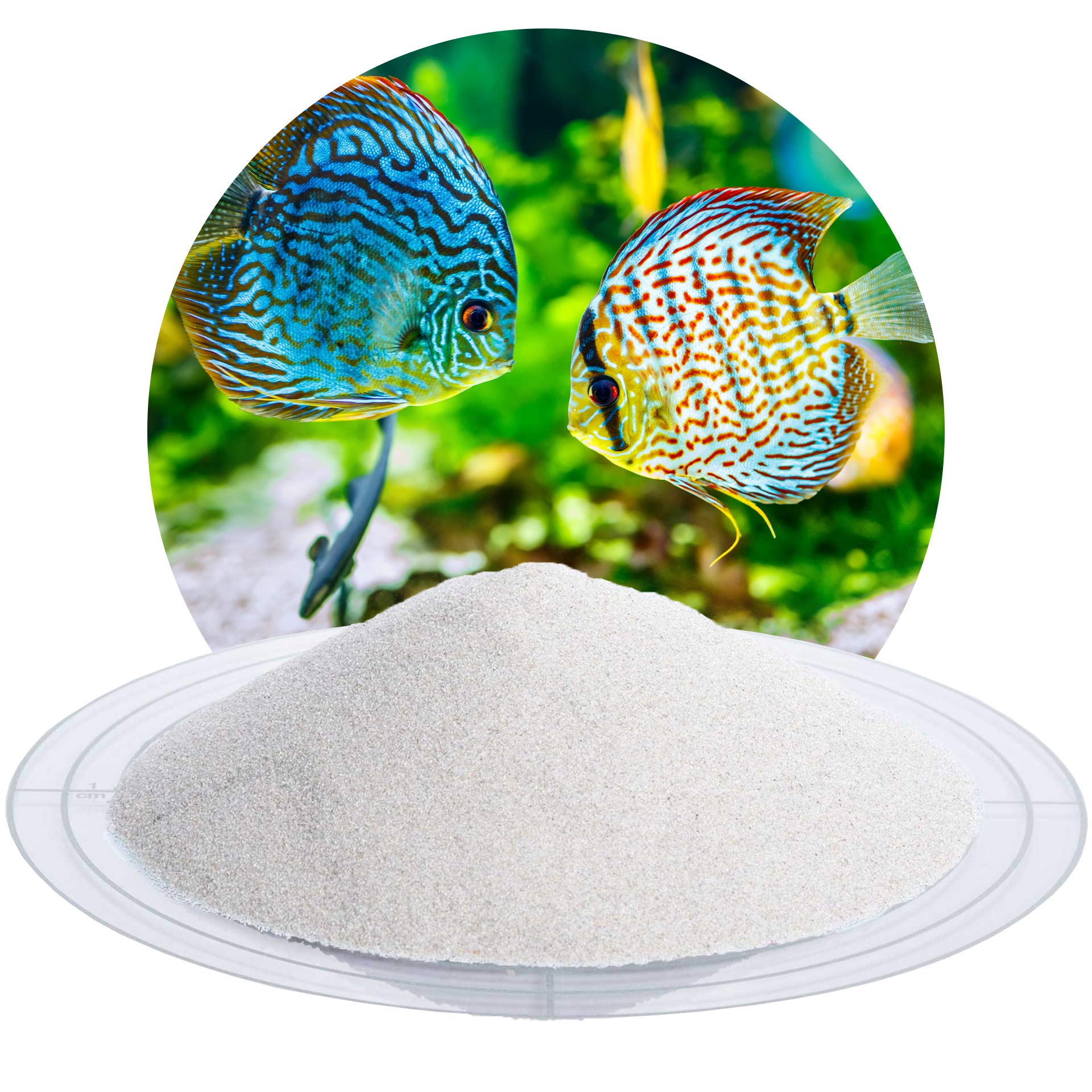Schicker Mineral Aquariumsand Natur 25 kg, feiner Aquariumkies gewaschen, ungefärbt, kantengerundeter Bodengrund, Kies für Süßwasseraquarien, Meerwasseraquarien, Aquascaping (0,1-0,3 mm)