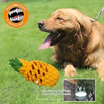 Amazon.com : M.C.works Dog Toy for Aggressive Chewers Large