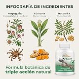 Ver la foto 2
