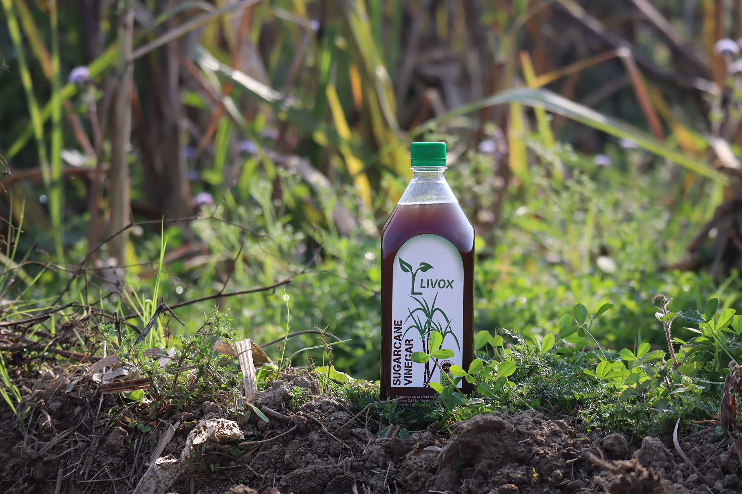 LIVOX Organic 1 Litre Sugar Cane Vinegar Sanne ka Sirka Made in Village Eat Natural Live Healthy - Image 4 thumbnail