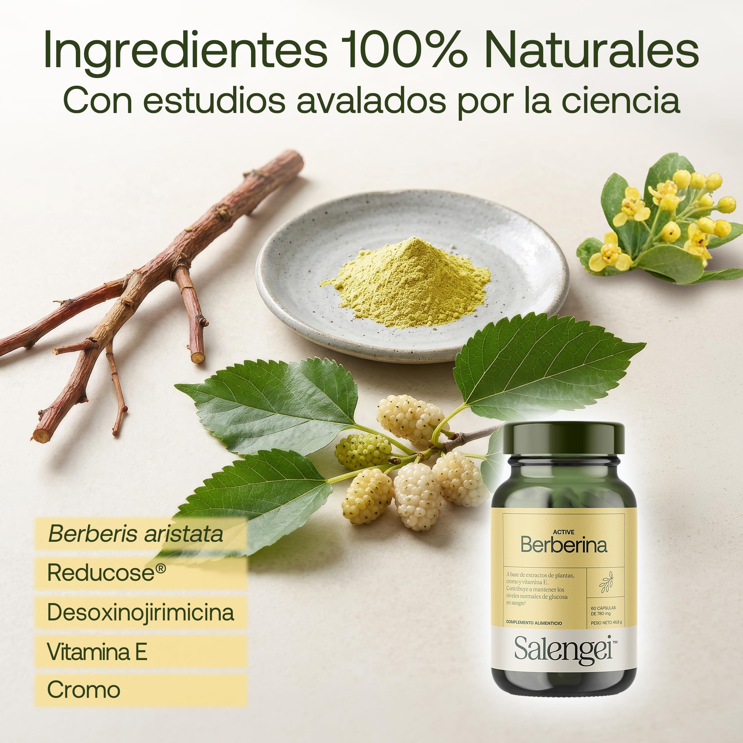 ACTIVE BERBERINA - Vitamina E Natural | 97% Berberina| Potente antioxidante que protege las células del estrés oxidativo | Apto para Veganos | 60 cápsulas | 750 mg |