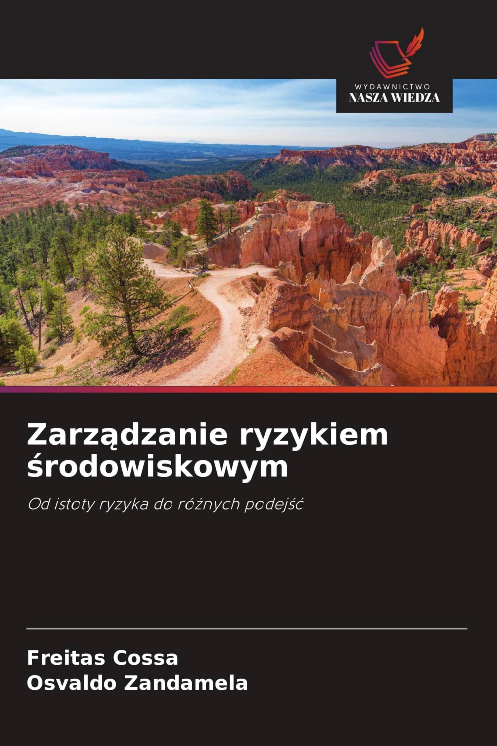 Zarządzanie ryzykiem środowiskowym: Od istoty ryzyka do ró¿nych podej¿¿