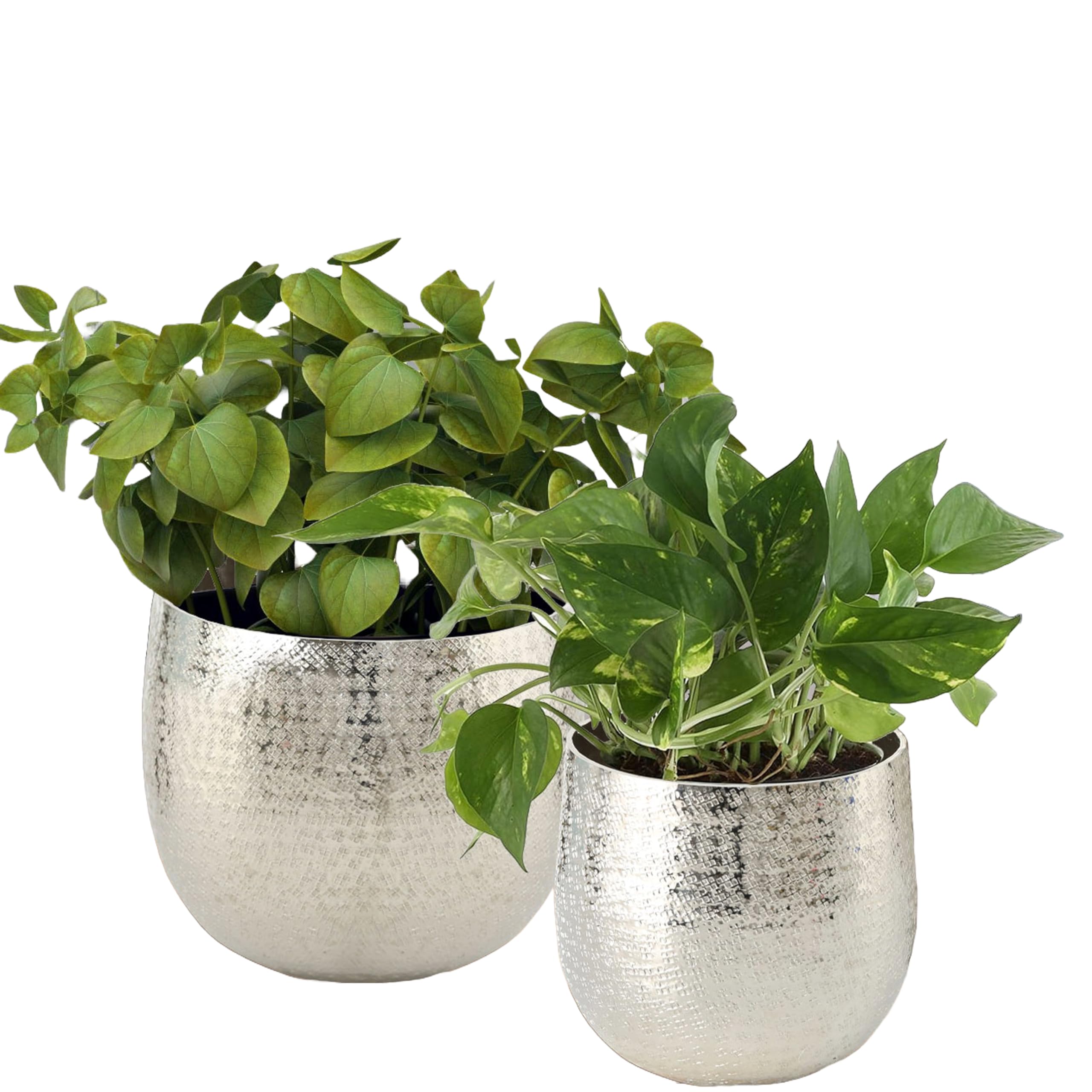 BZ Detroit Decorative Pot Silver Plant Pot Set of 2 Silver Aluminium