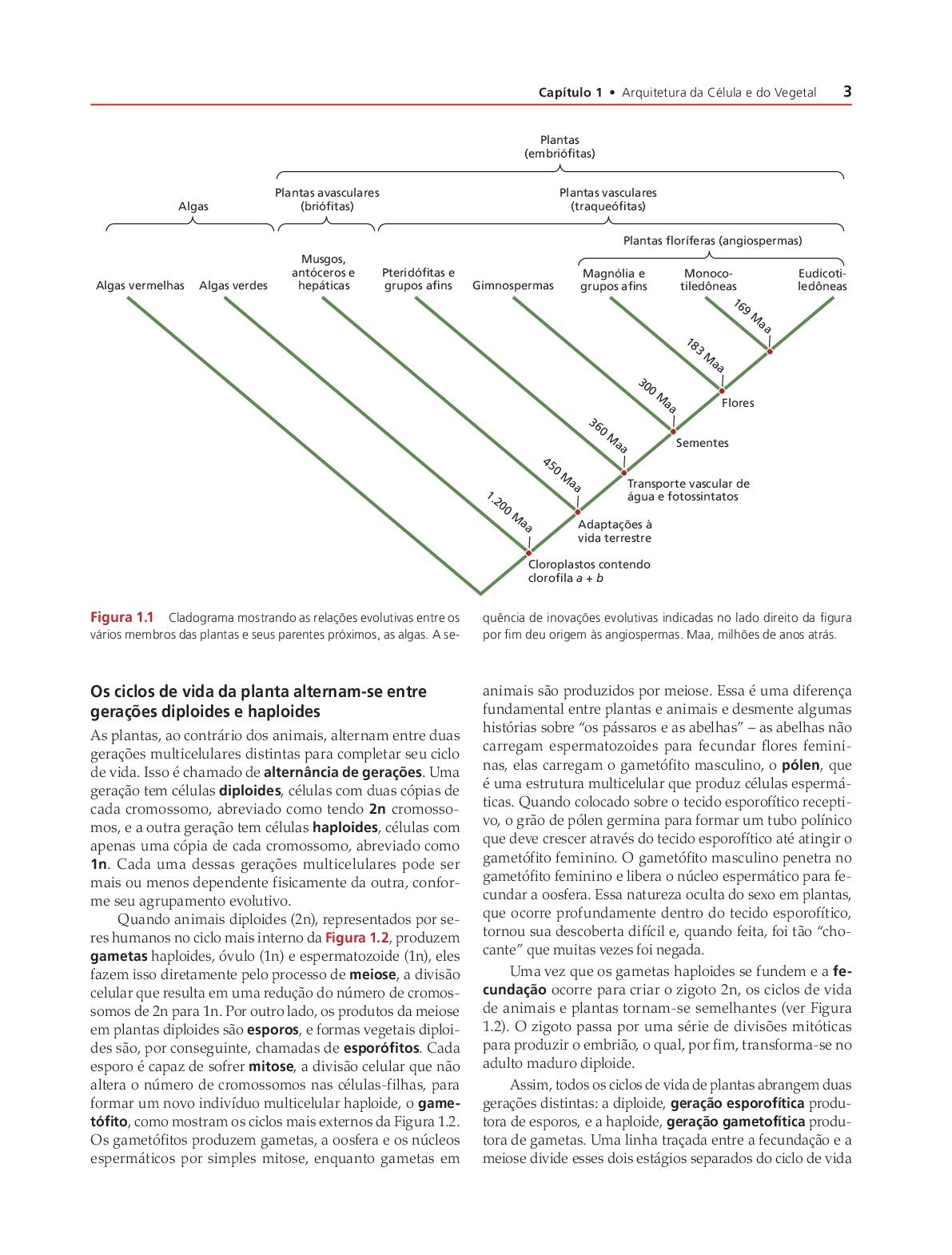 Fisiologia e Desenvolvimento Vegetal