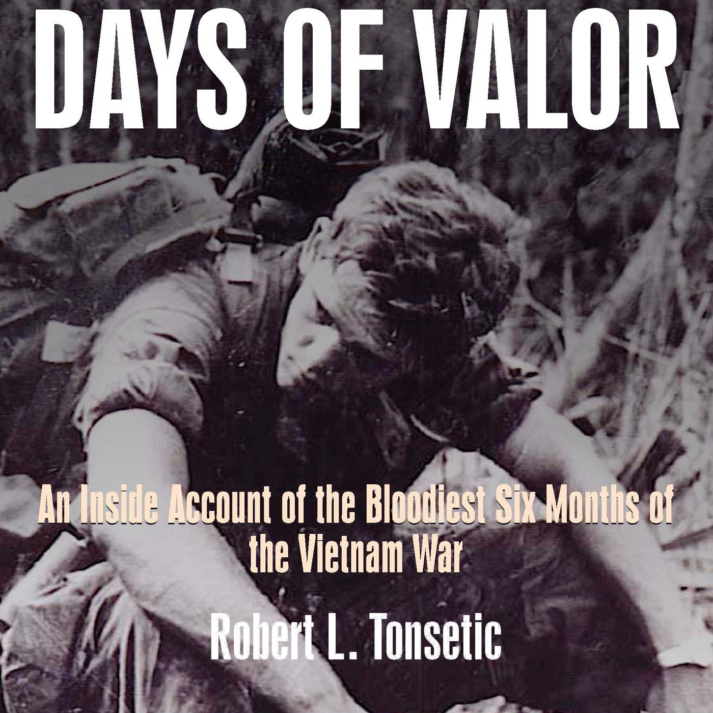 Cover art for Days of Valor