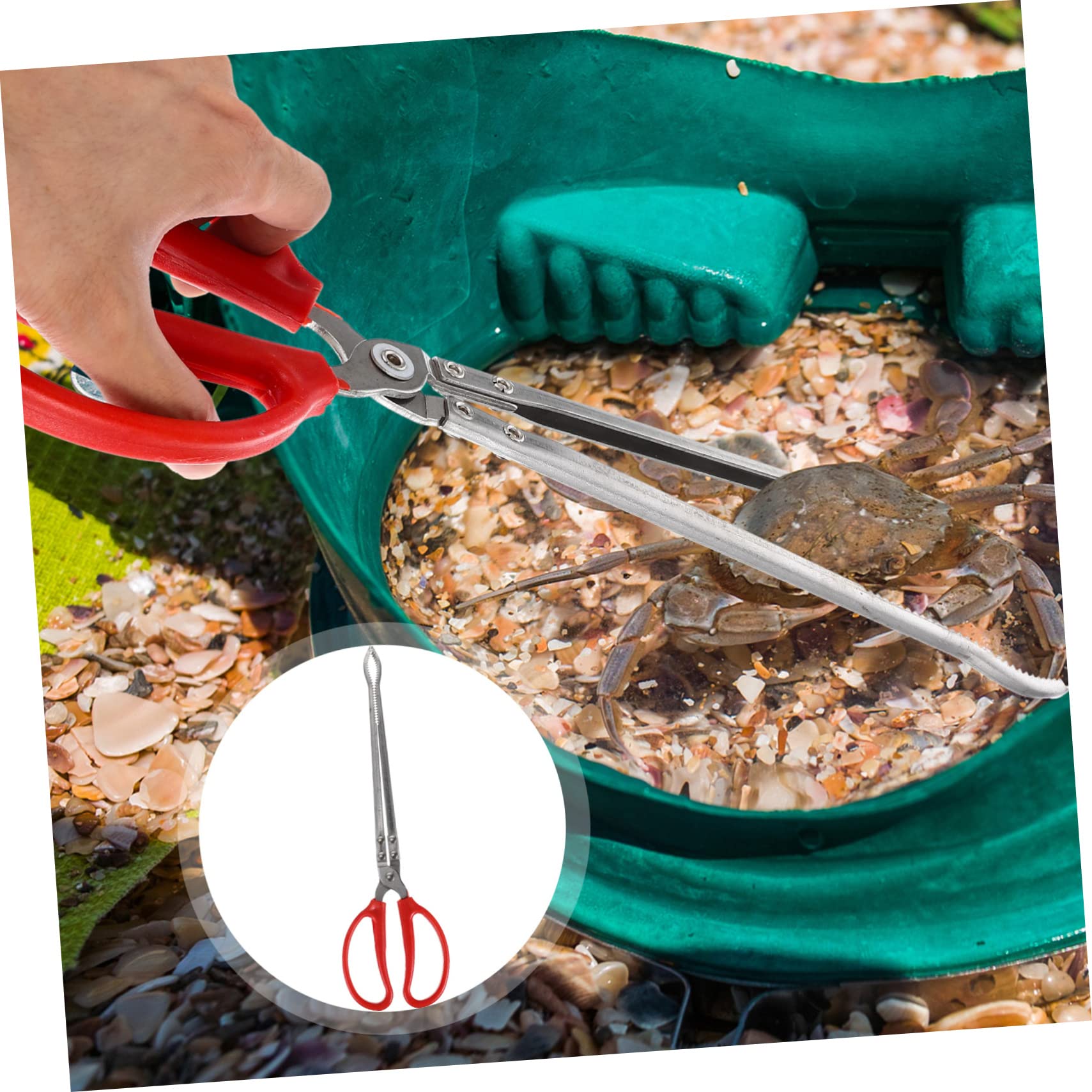 Pince à Crabe en Acier Inoxydable, Outil de Pêche Multifonction