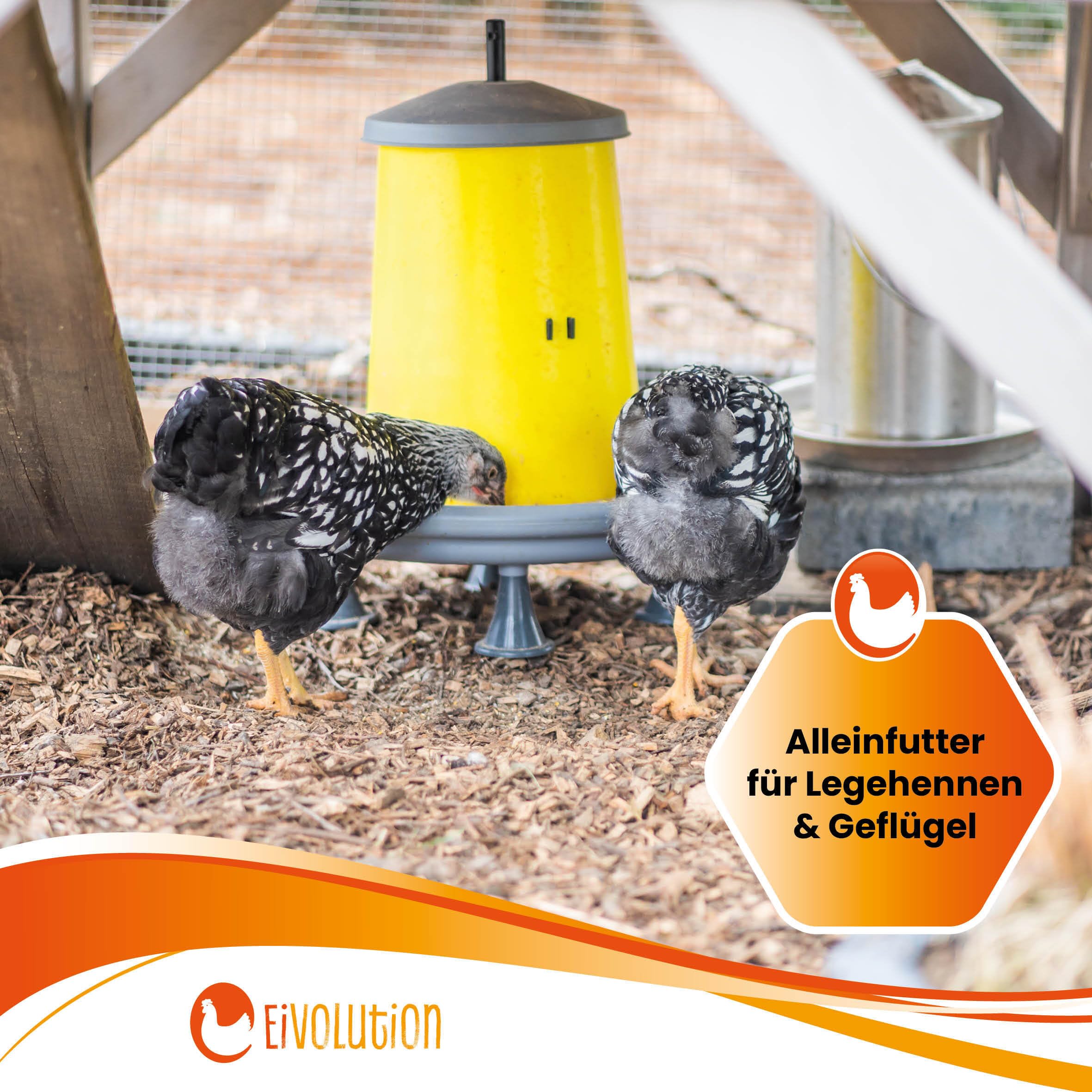 Bio-Hühnerfutter Pellets mit Oregano-Kräutermix 14 kg - Alleinfutter für Legehennen & Geflügel - Reich an Vitalstoffen - Kontrolliert ökologisch