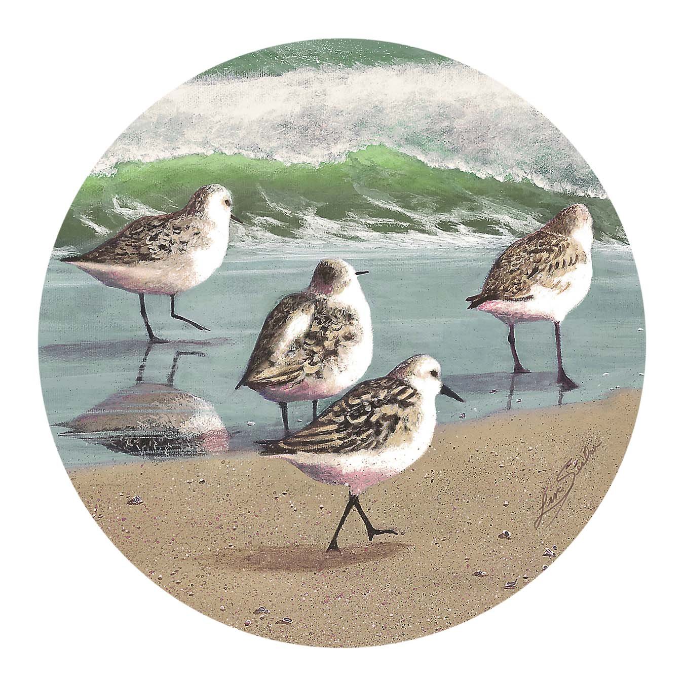 Thirstystone Drink Coaster Set, Sandpiper Parade