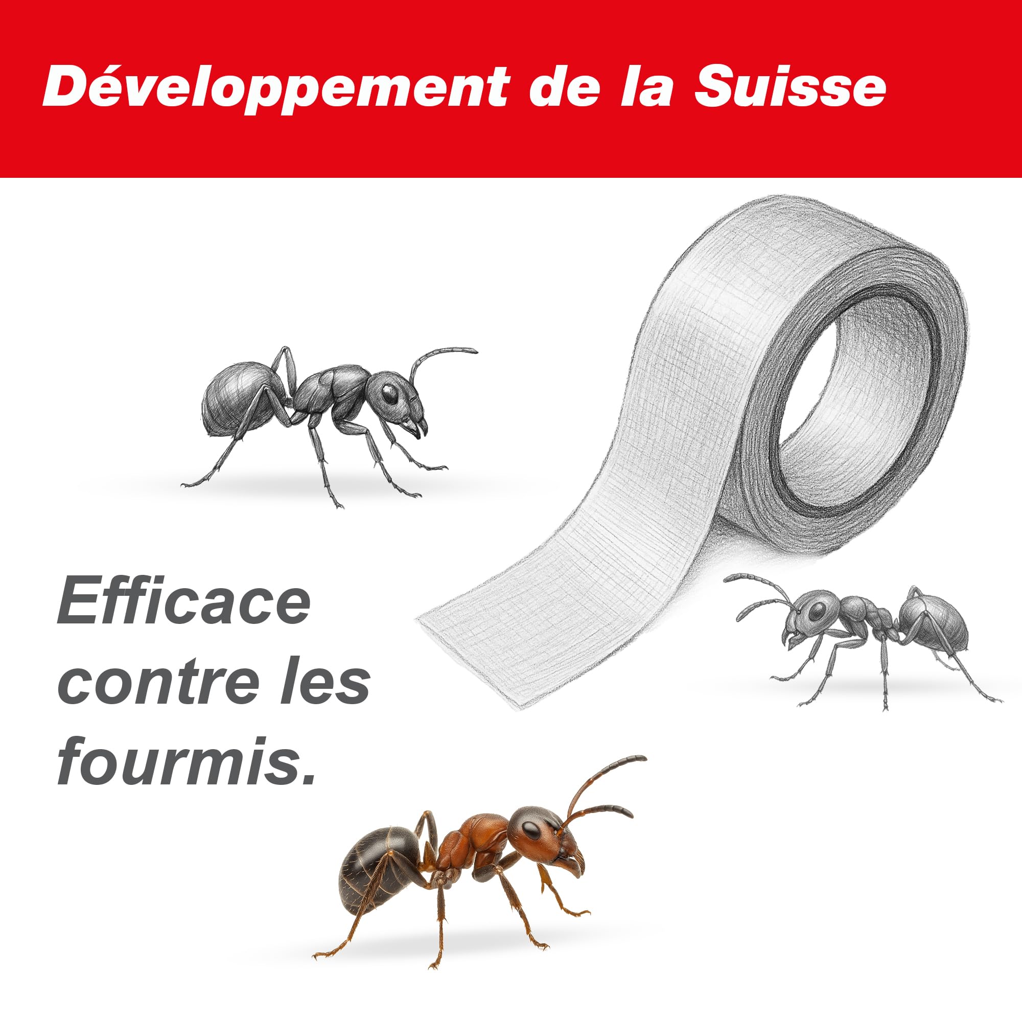 SWISSINNO Ruban adhésif Anti-Fourmis pour Insectes rampants 5 cm x 5 m Protection des Arbres