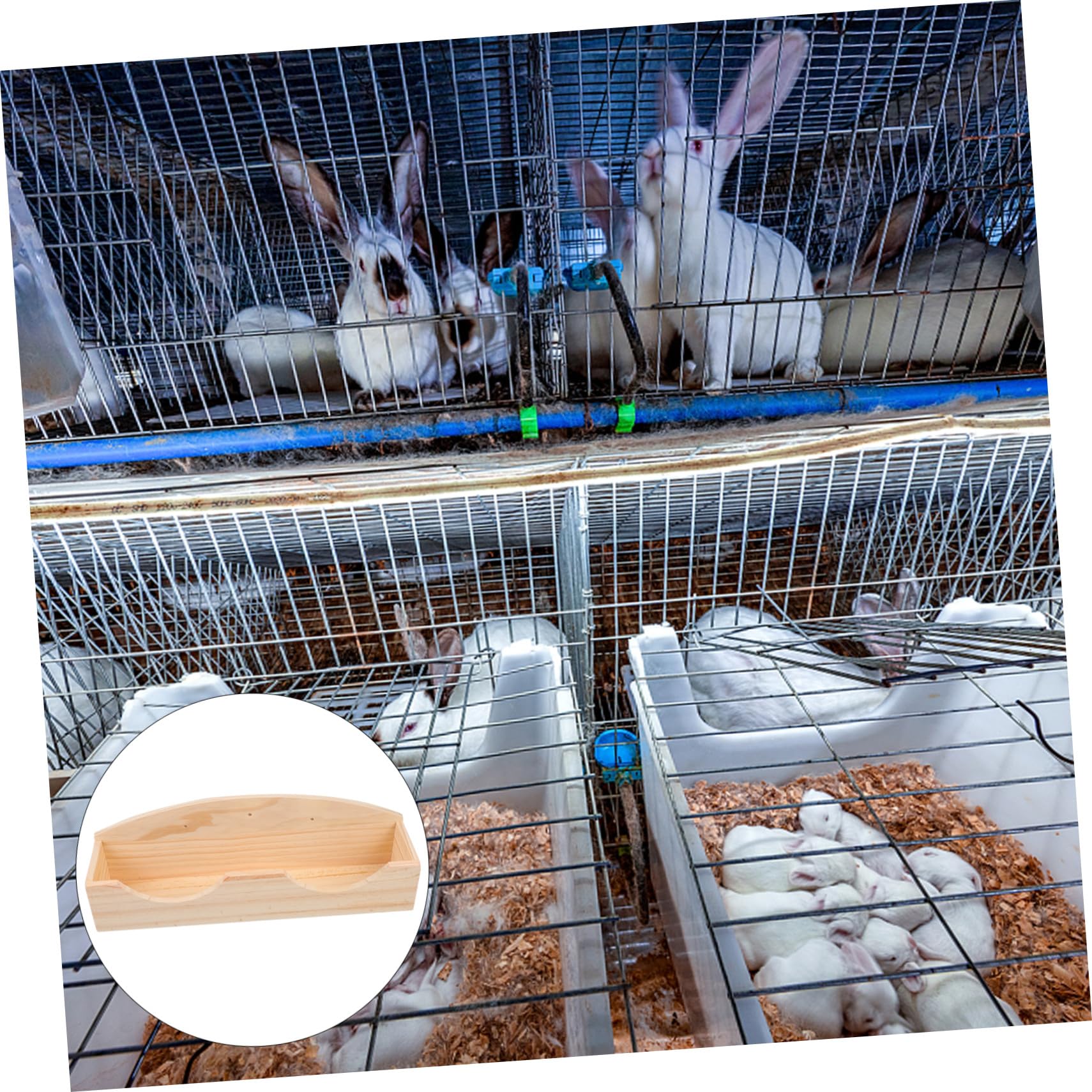 Outanaya Holz Futterstation für Kleintiere Feeder mit Gras Halterung Kaninchen Meerschweinchen Futterkorb Hygienisch und Platzsparend für Käfig und Stall