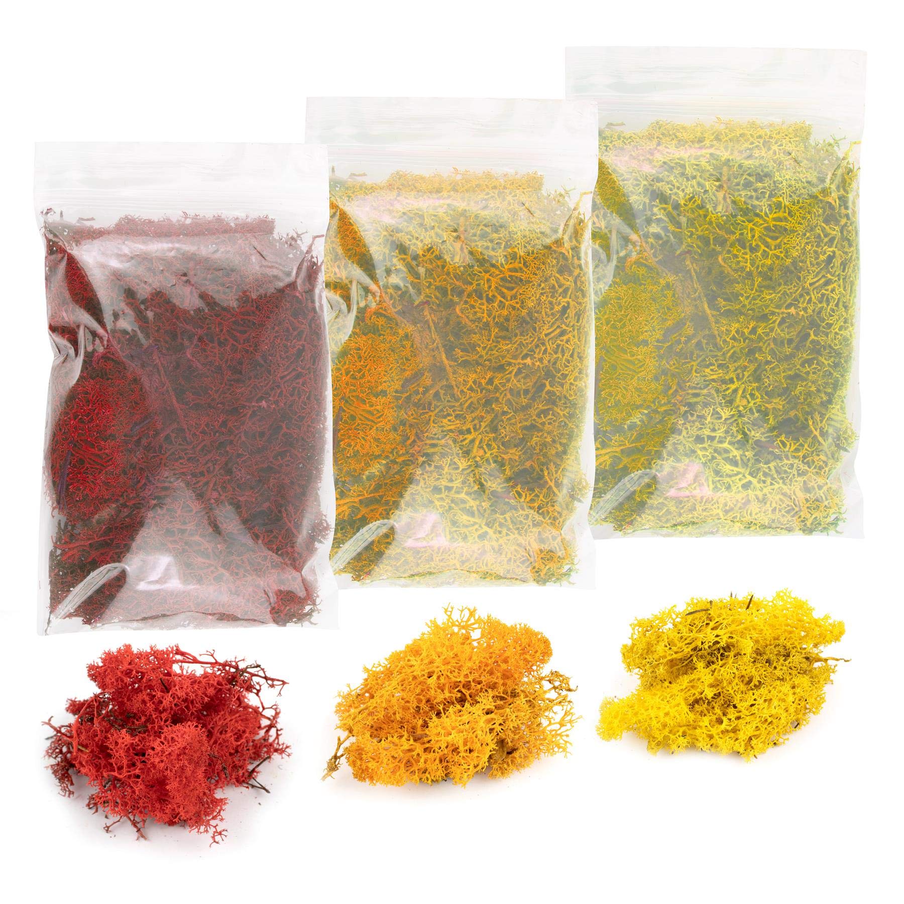 War World Scenics Lichen Moss Model Foliage Multi-Pack 3 x 20g (Yellow, Orange, Red) –Railway Modelling Wargame Basing Scenery Landscape Trees Bushes Hedges Diorama