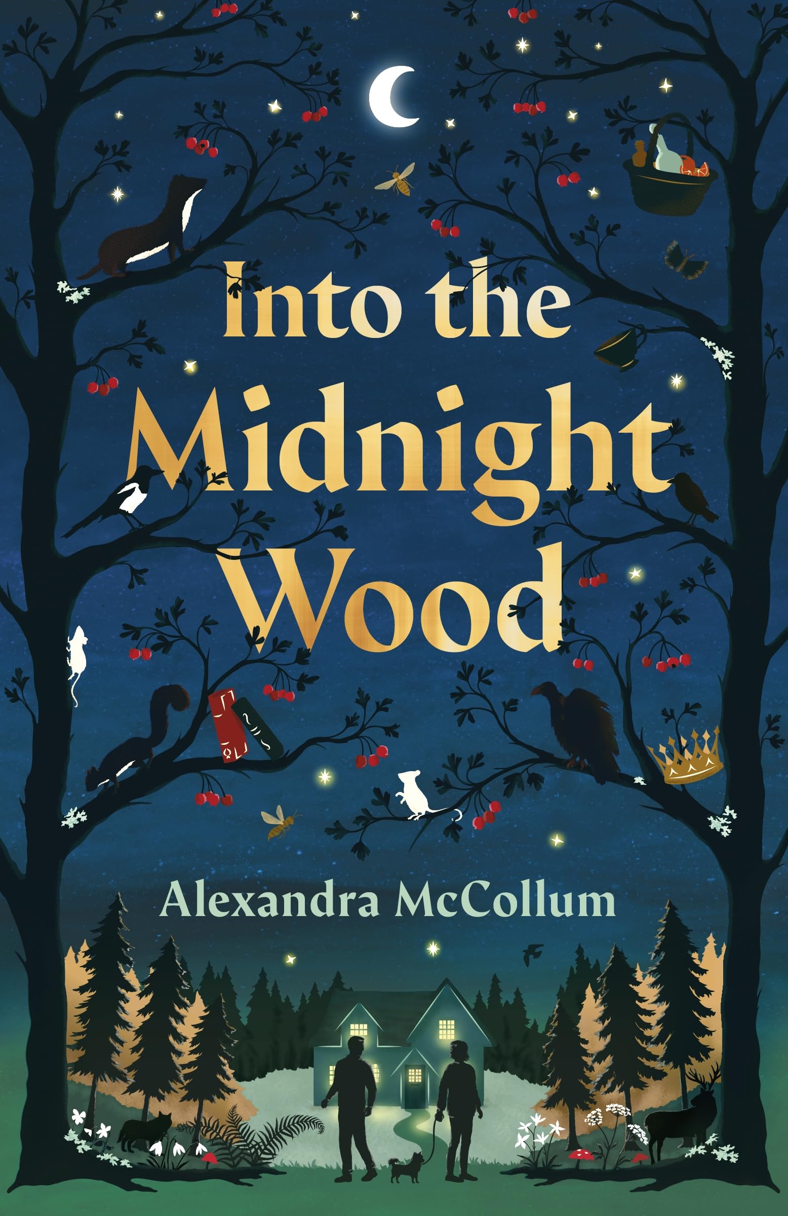 Into the Midnight Wood by Alexandra McCollum Hardback