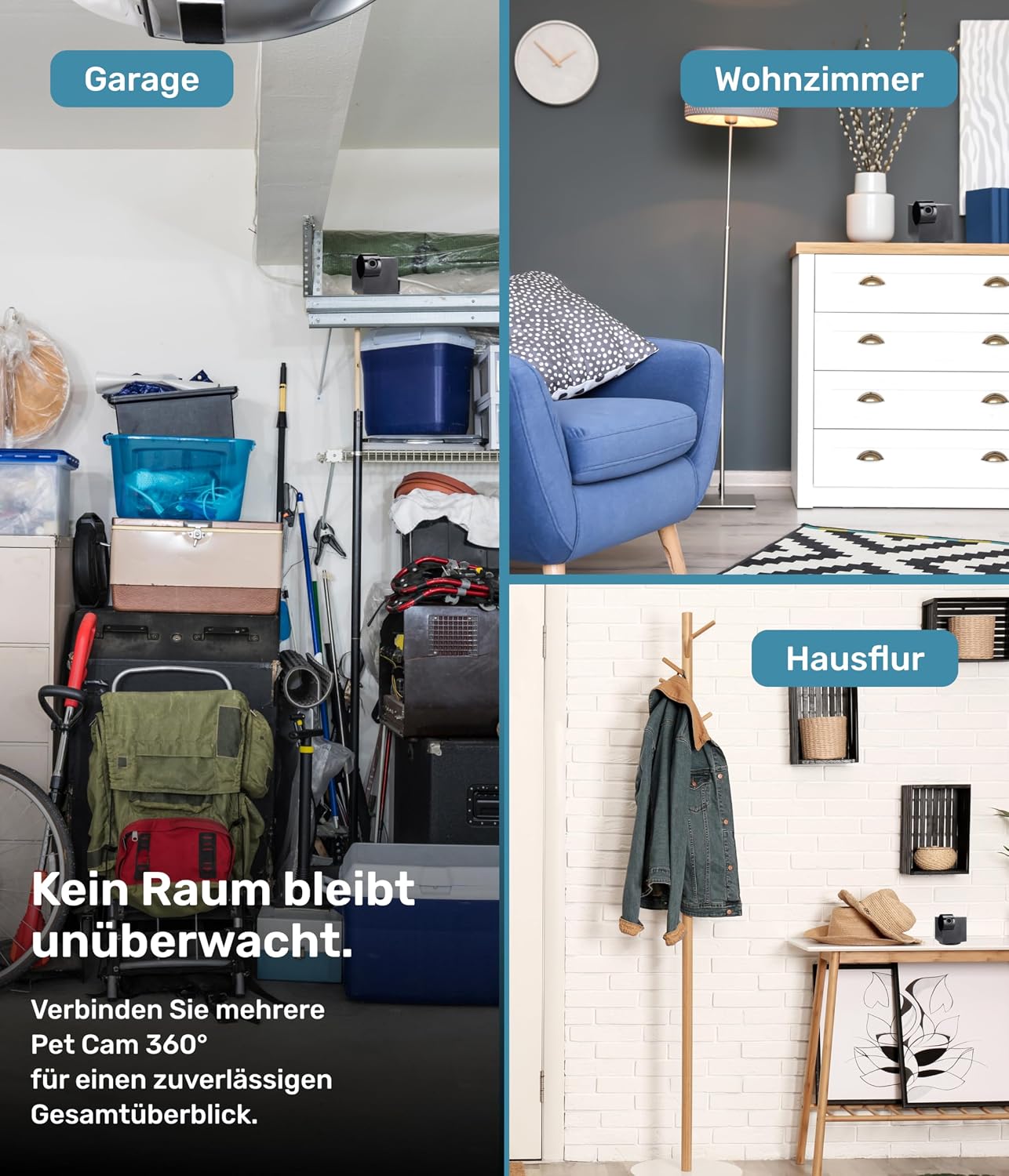 Haustier-Kamera 360° mit App 6
