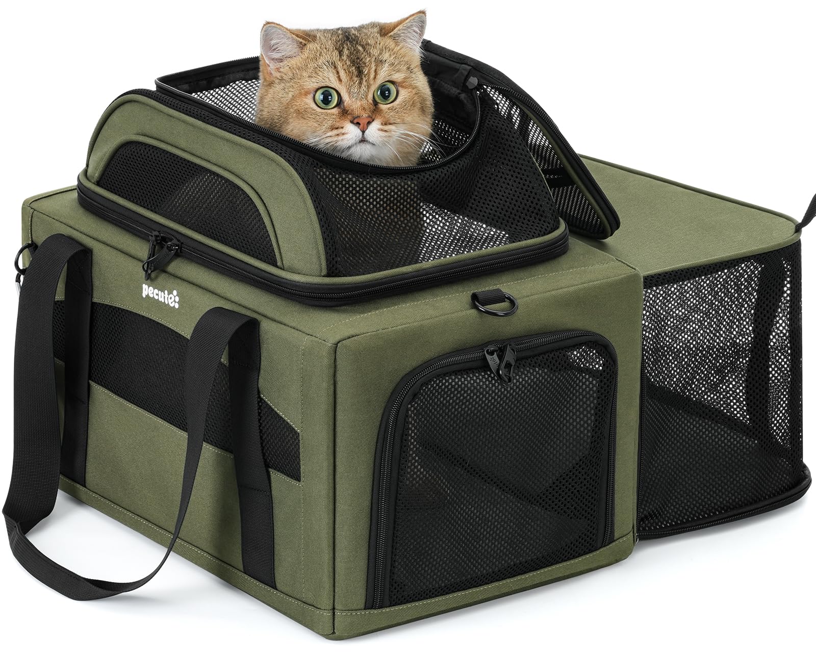 Pecute Top Side Expandable Pet Carrier Airline Approved Dog Cat Carrier, Breathable Soft-Sided with Locking Zippers, Pet Travel Bag for Small Dog Cat Leakproof Pee Pad (Olive Green)